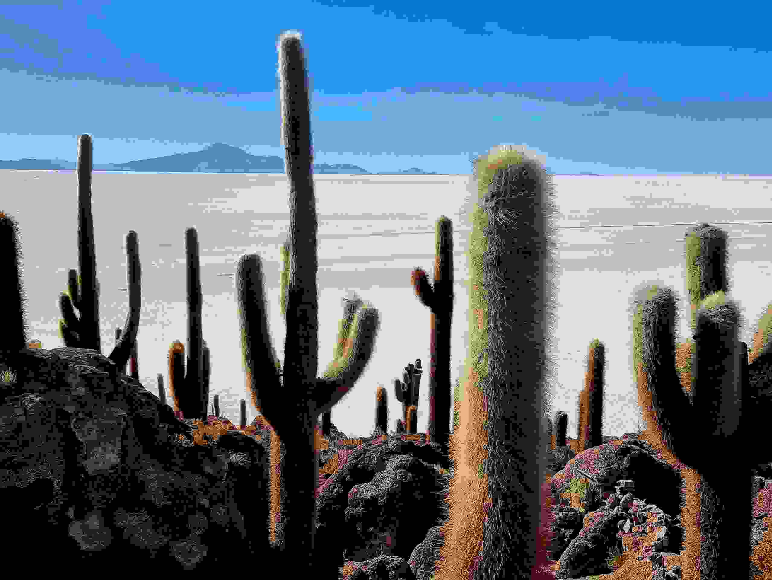 Blick von der Insel Incahuasi über den Salar de Uyuni