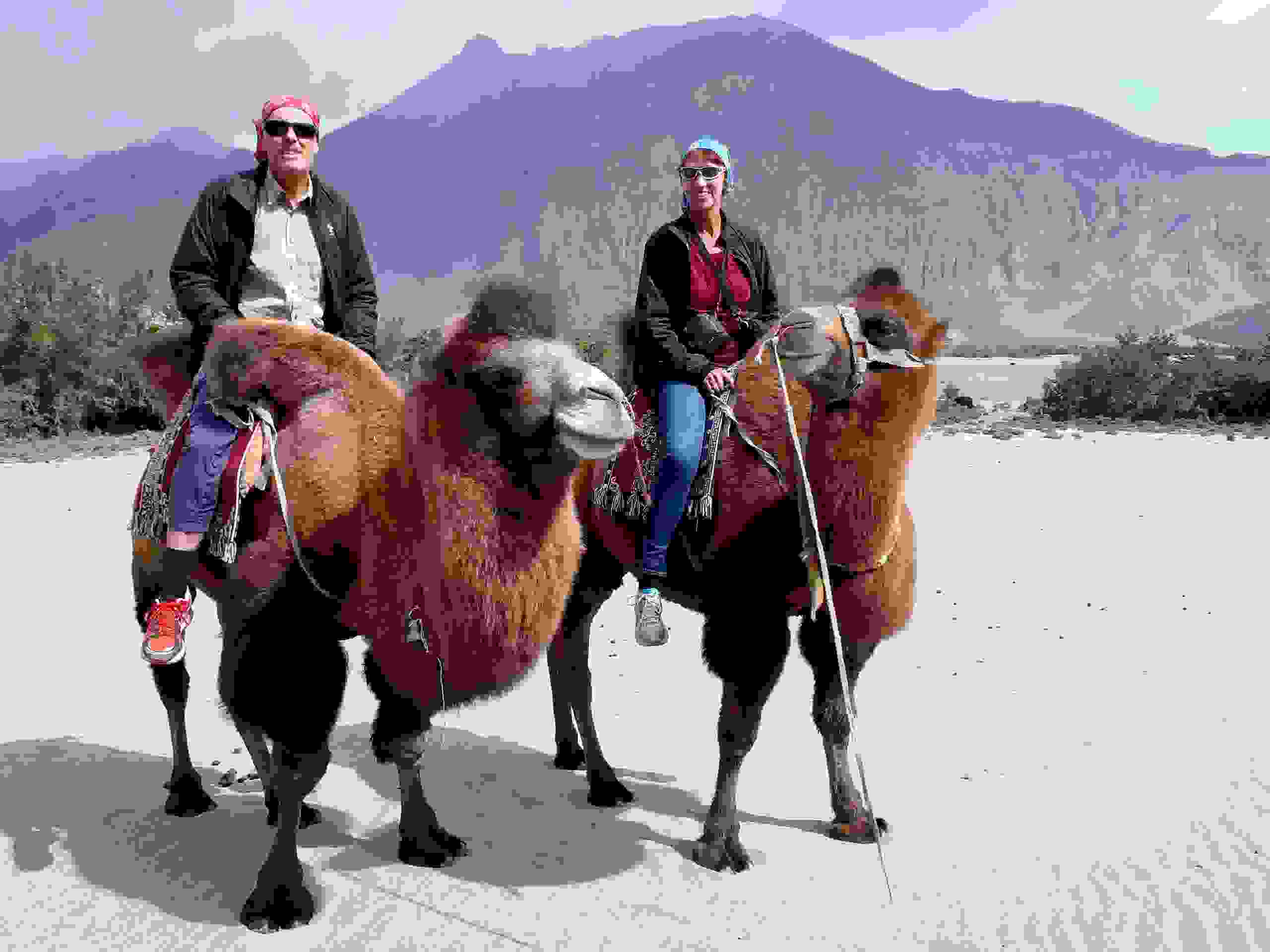 Reiten auf baktrischen Kamelen, Hundar