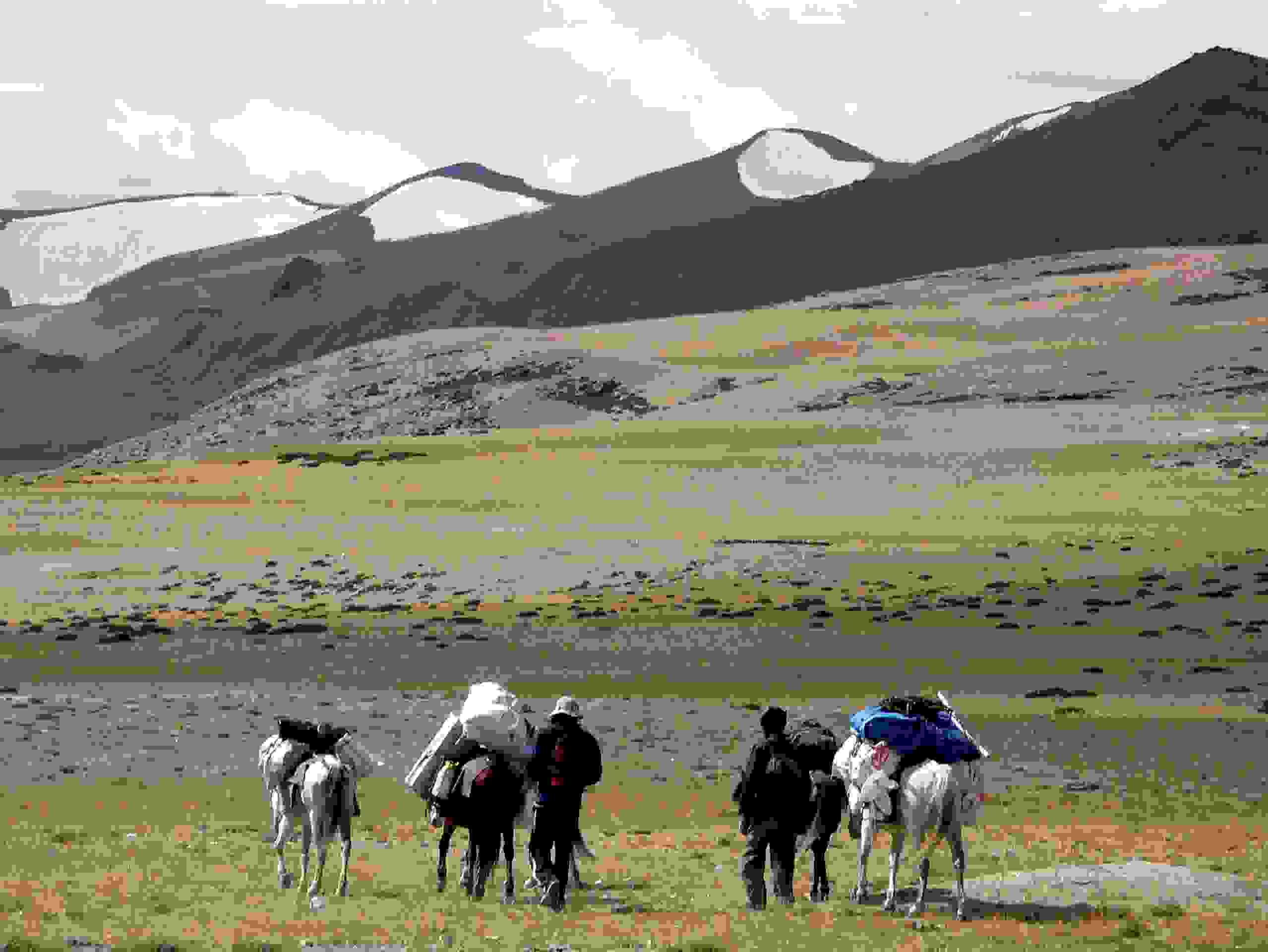 Trekking in der Changthang Region 