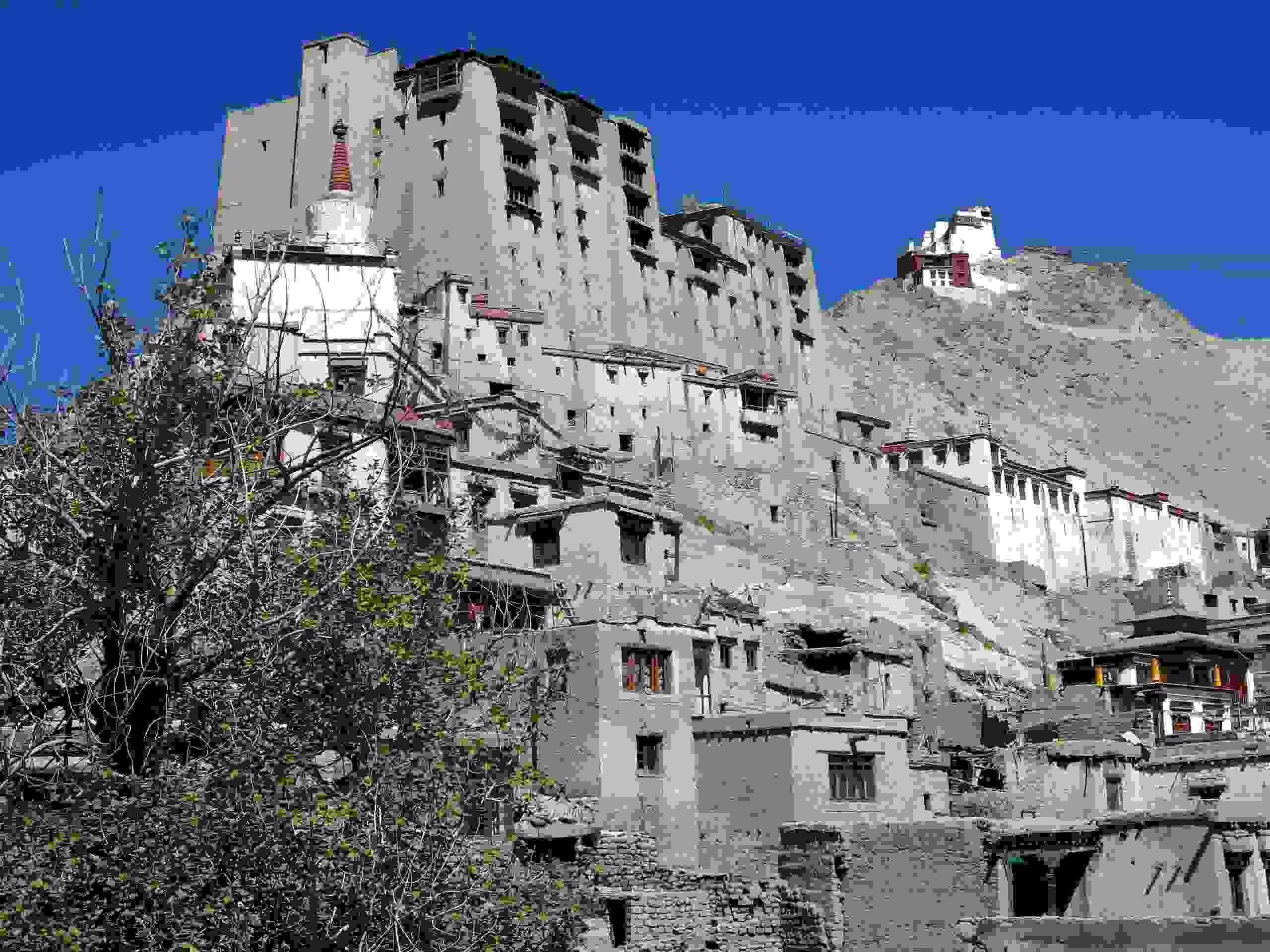 Königspalast und Kloster, Leh