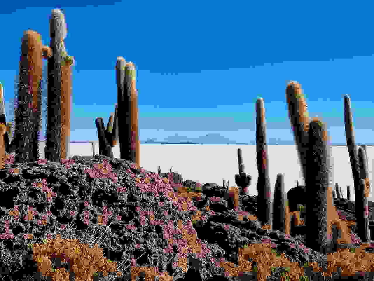 Salar de Uyuni, Bolivien