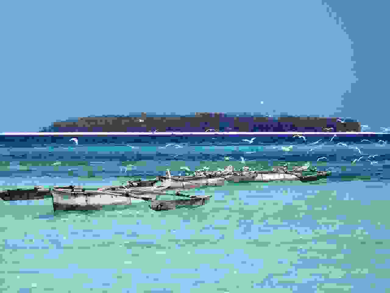 11a-PA244725