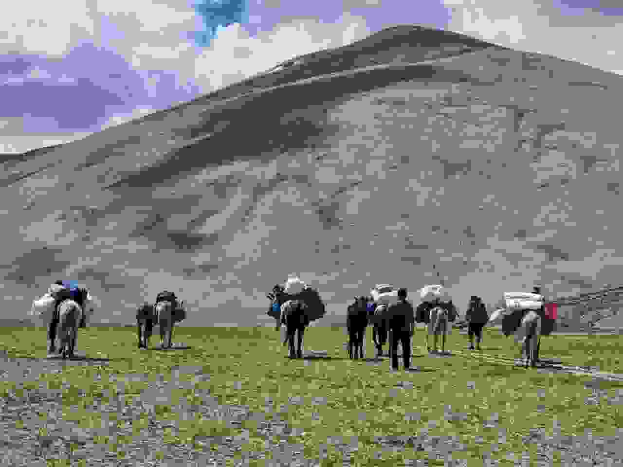 unsere Begleitmannschaft mit acht Pferden, Ladakh