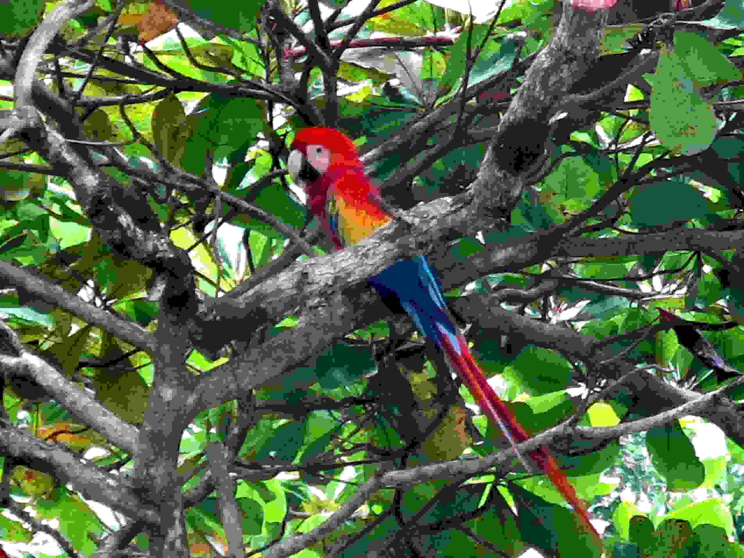Impressionen Tiersafaris – FreitagTravel