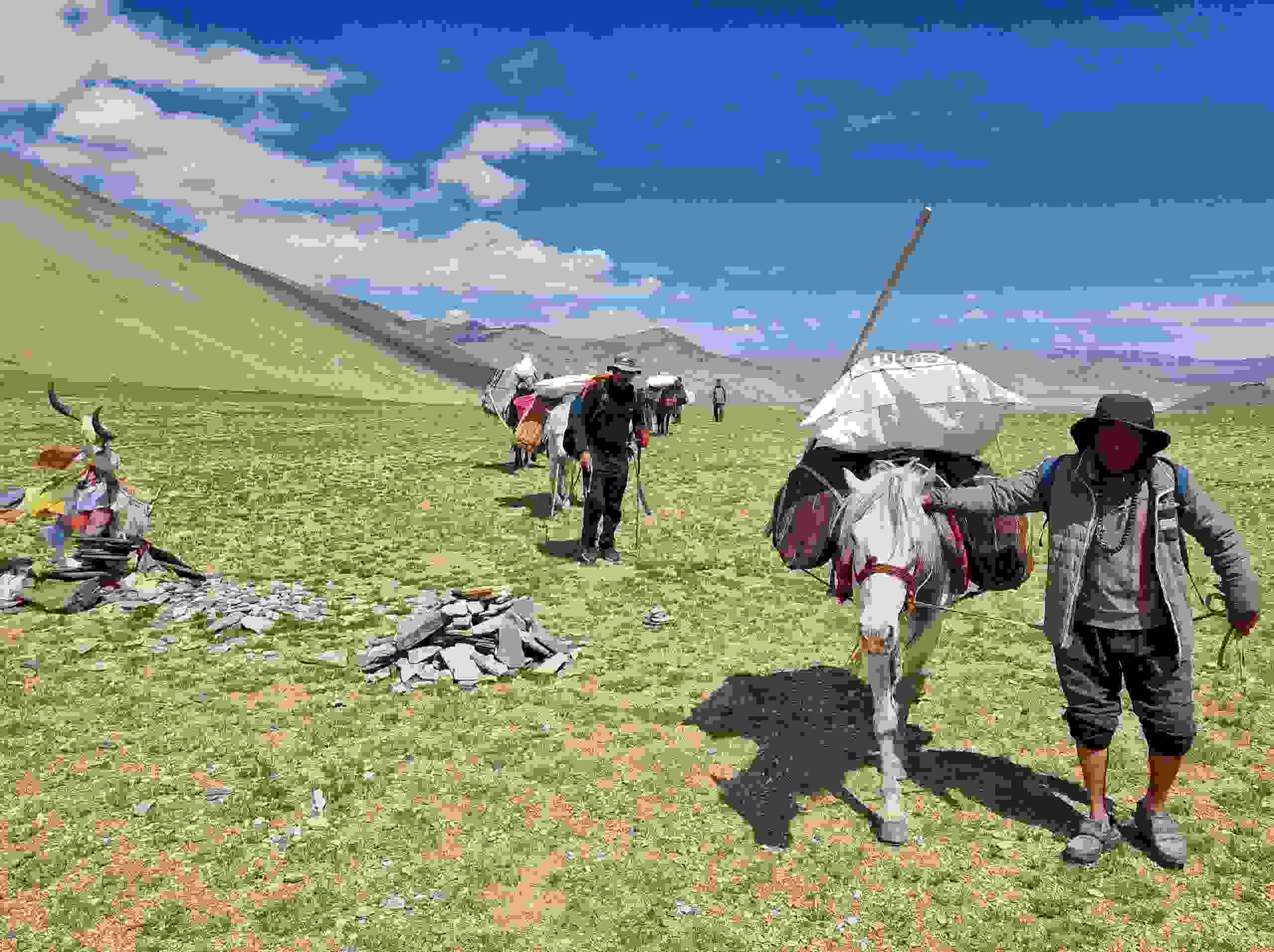 41-20250809_103445