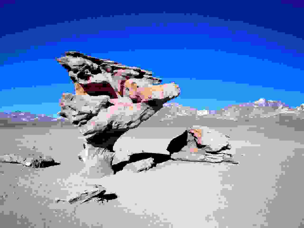 Bolivien, Arból de Piedra