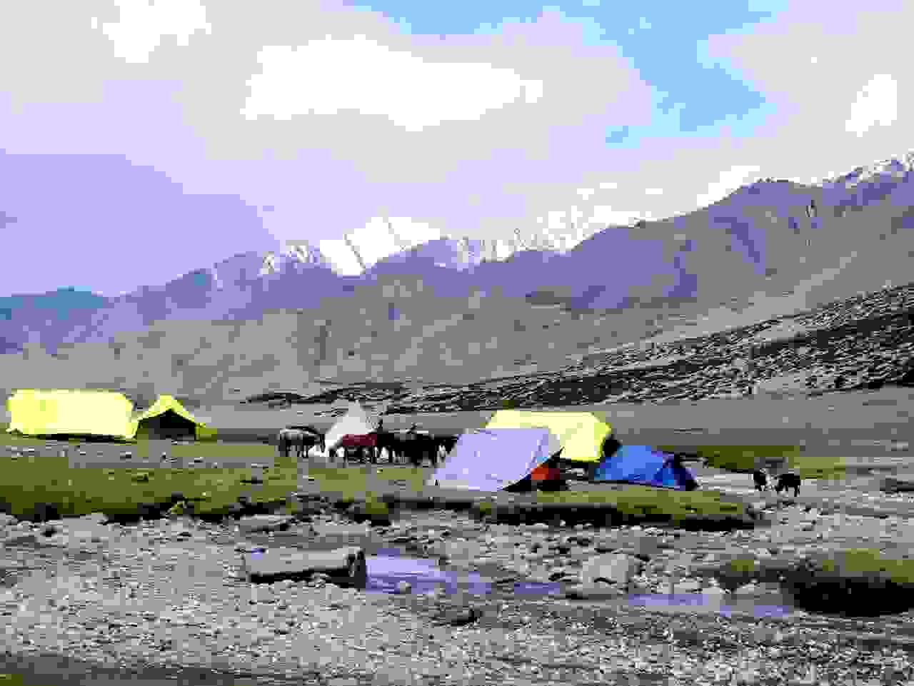 31a-P6282286_2