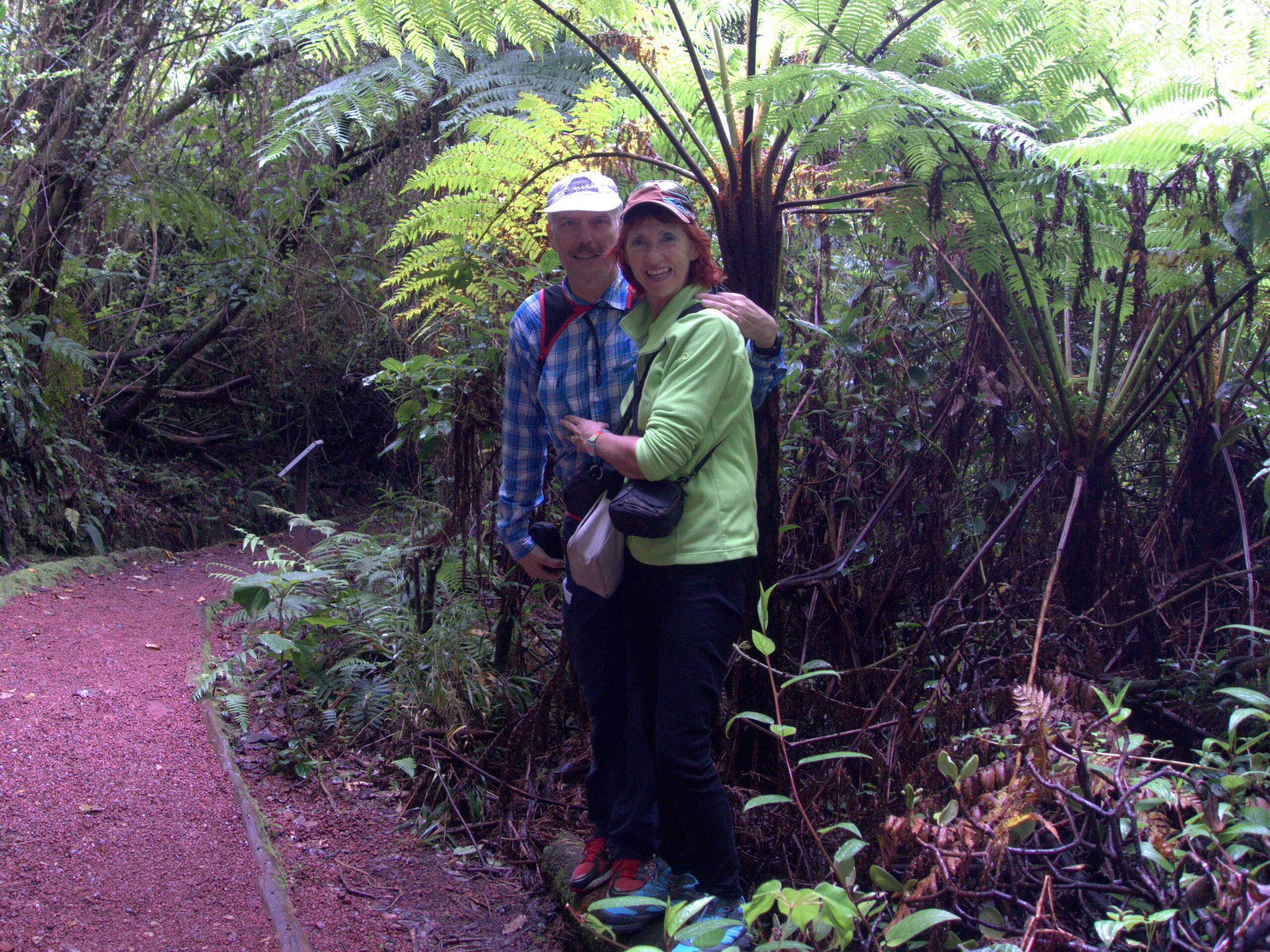 Wanderweg im Nebelwald, Vulkan Poás