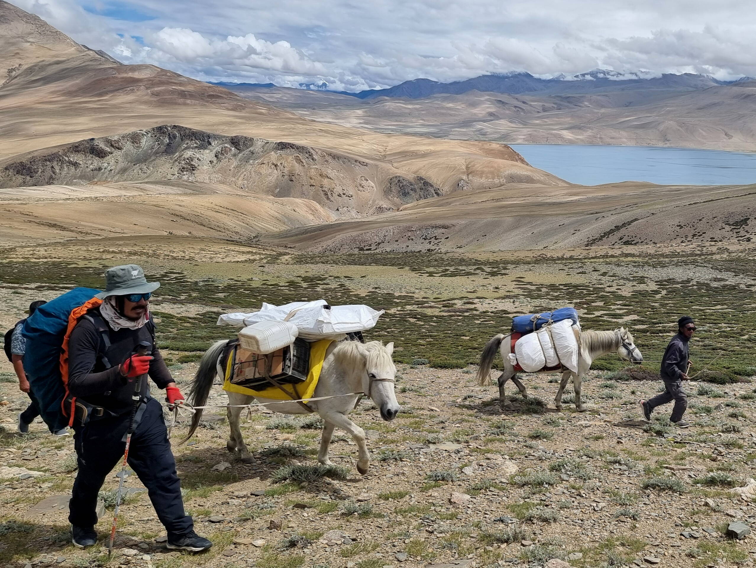 auf dem Weg zum Mentok Kangri Basecamp (5400 m), Ladakh