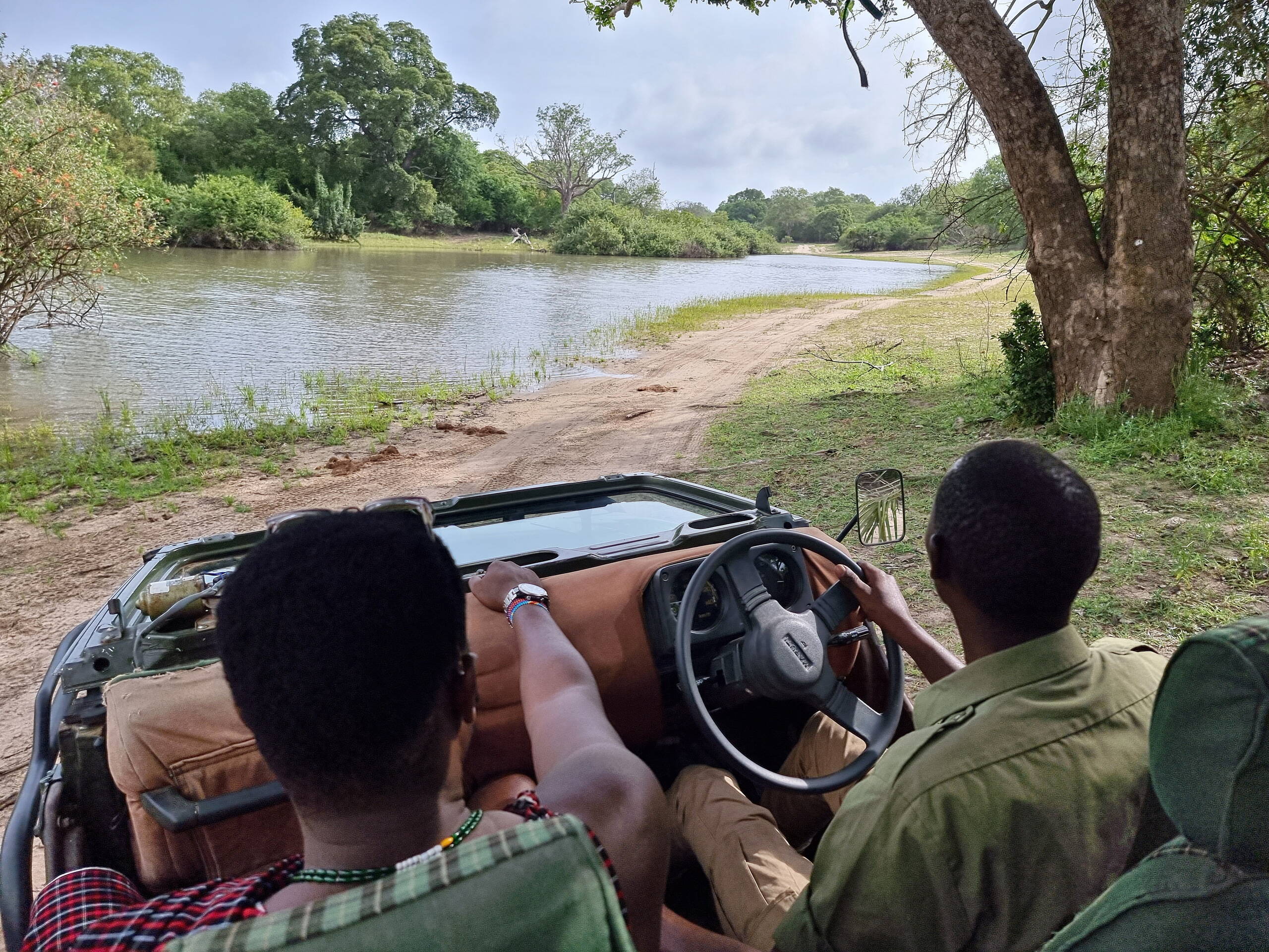 auf Jeepsafari im Nyerere Nationalpark
