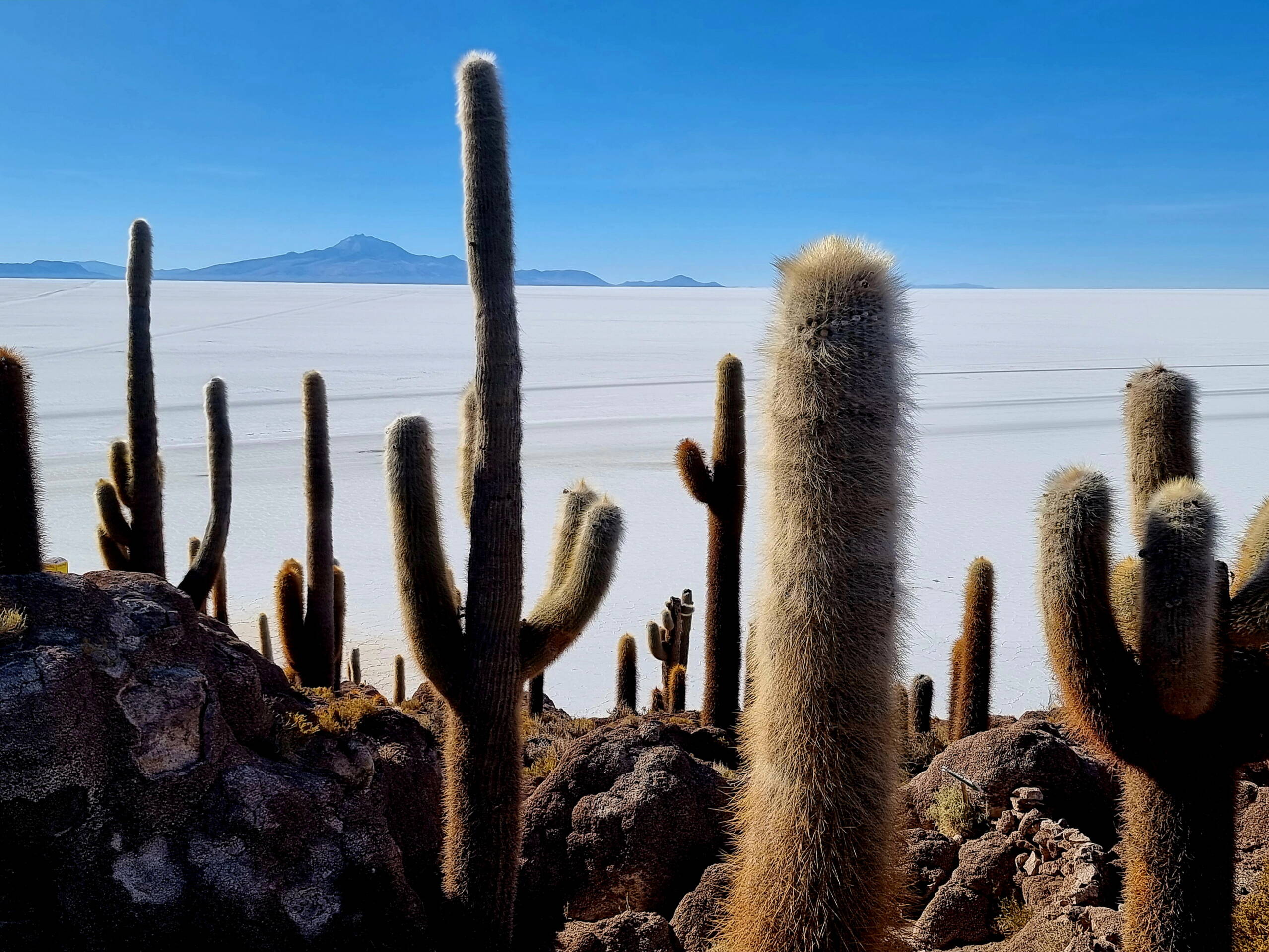 Blick von der Insel Incahuasi über den Salar de Uyuni