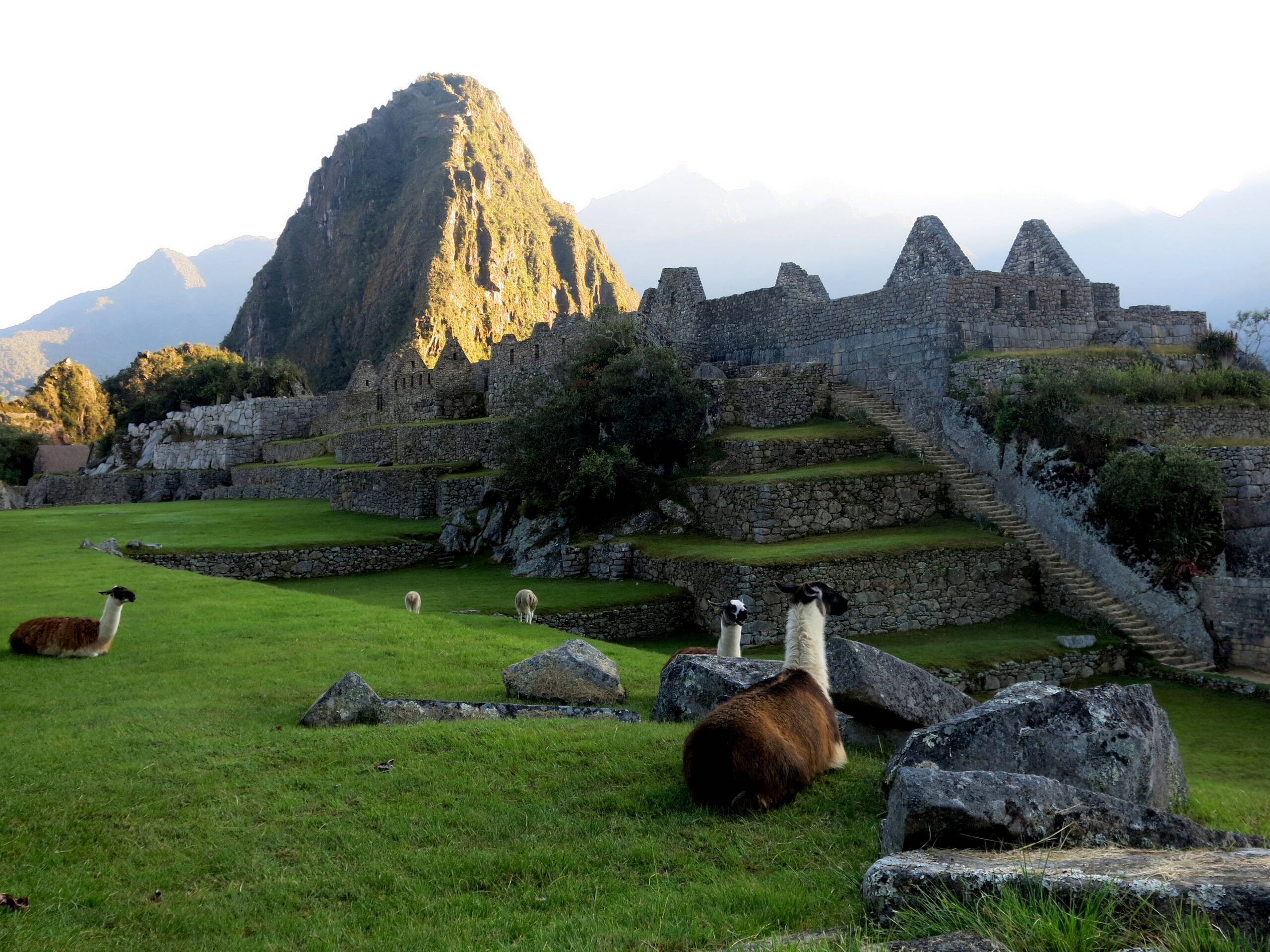 Inka-Ruinenstadt, Machu Picchu