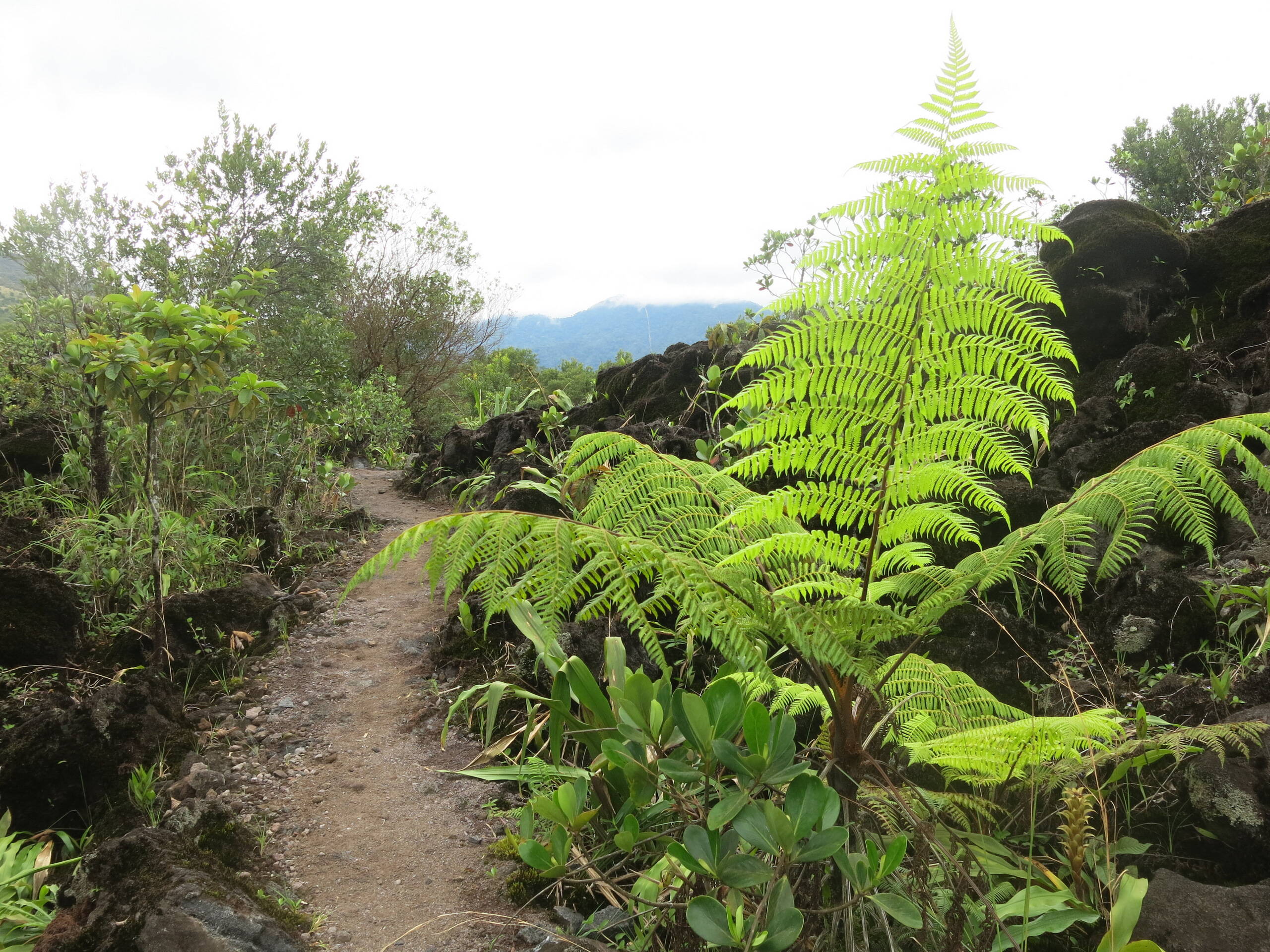 Lava Trail im Reservat ''Arenal 1968'', La Fortuna
