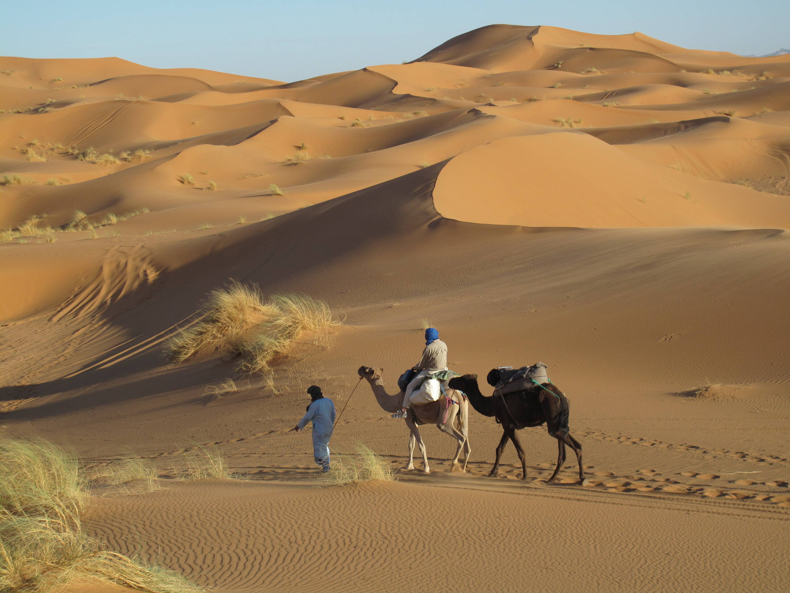 Wüstentrekking im Erg Chebbi
