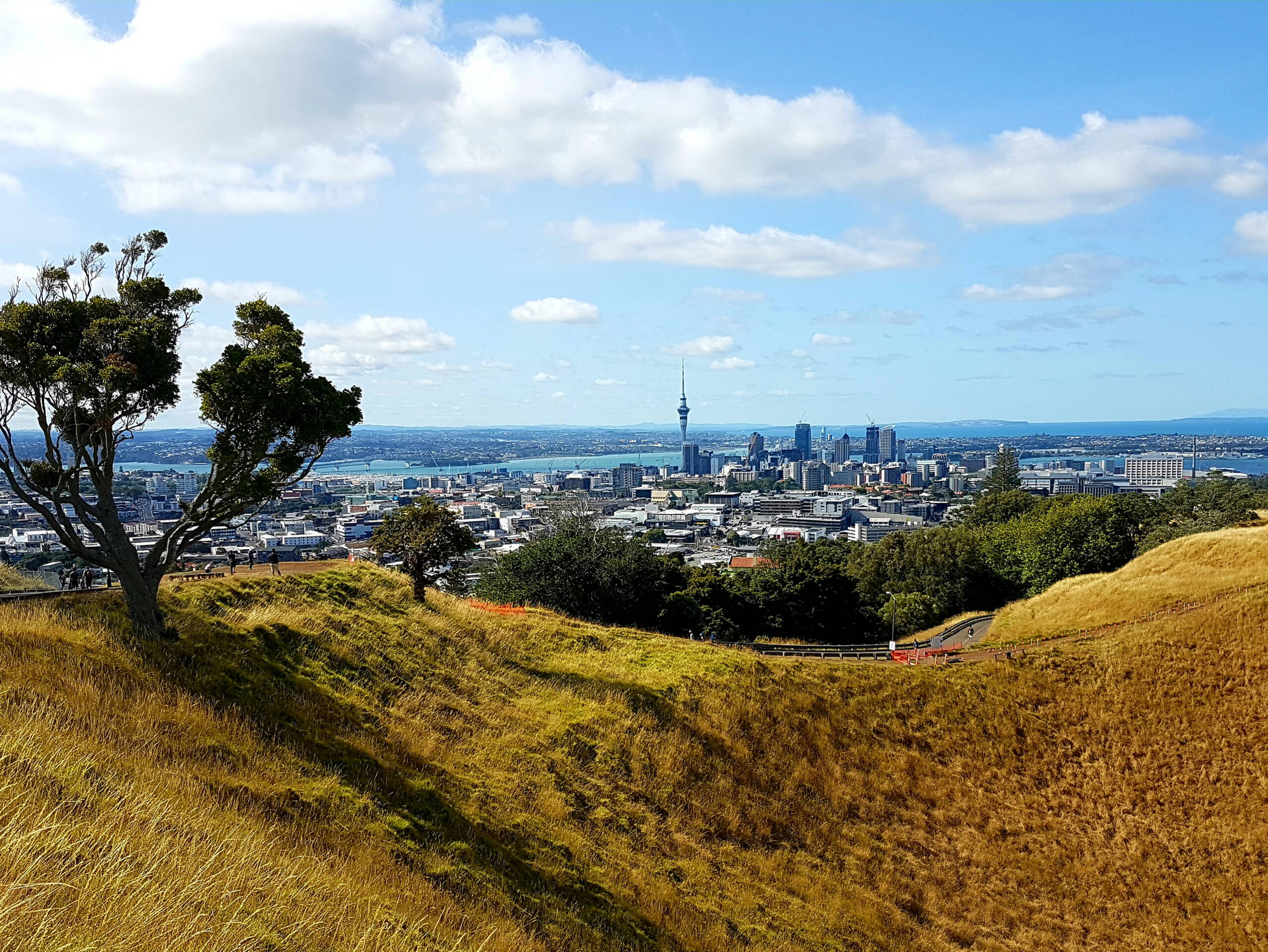 Downtown Auckland, Nordinsel
