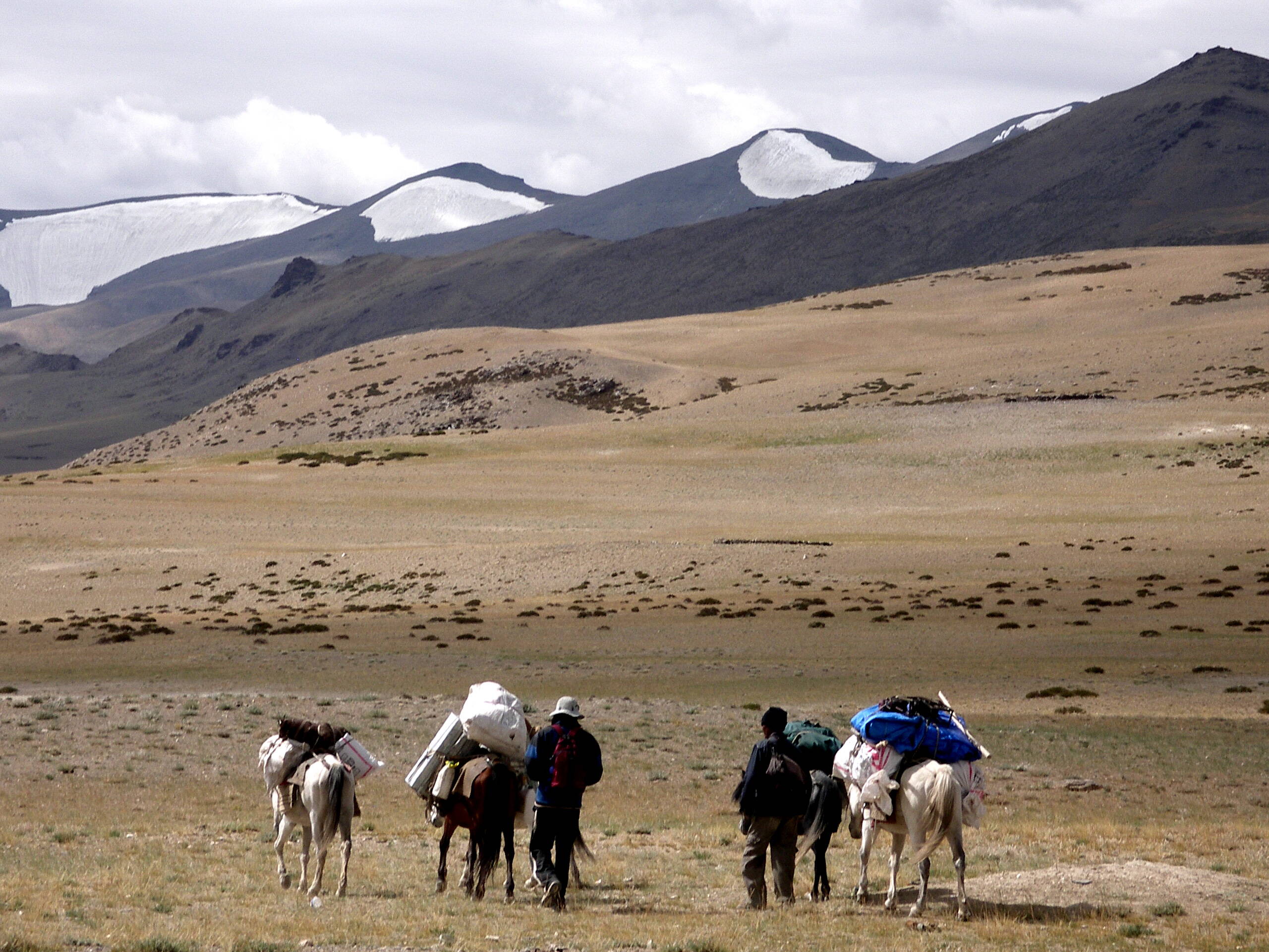 Trekking in der Changthang Region 