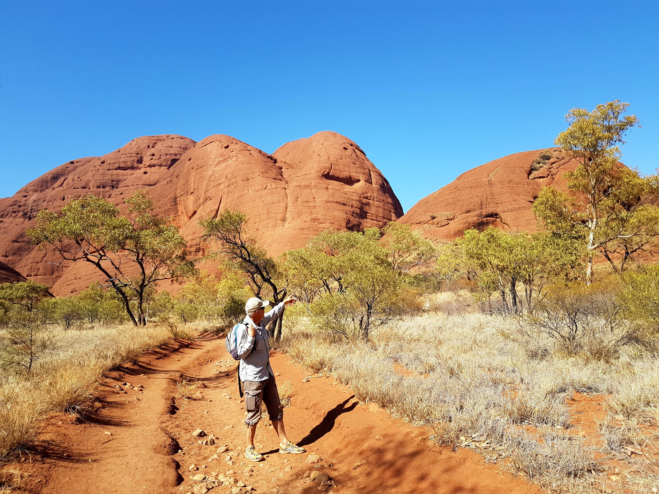 Felskuppen der Olgas, Red Centre-Nothern Territory 