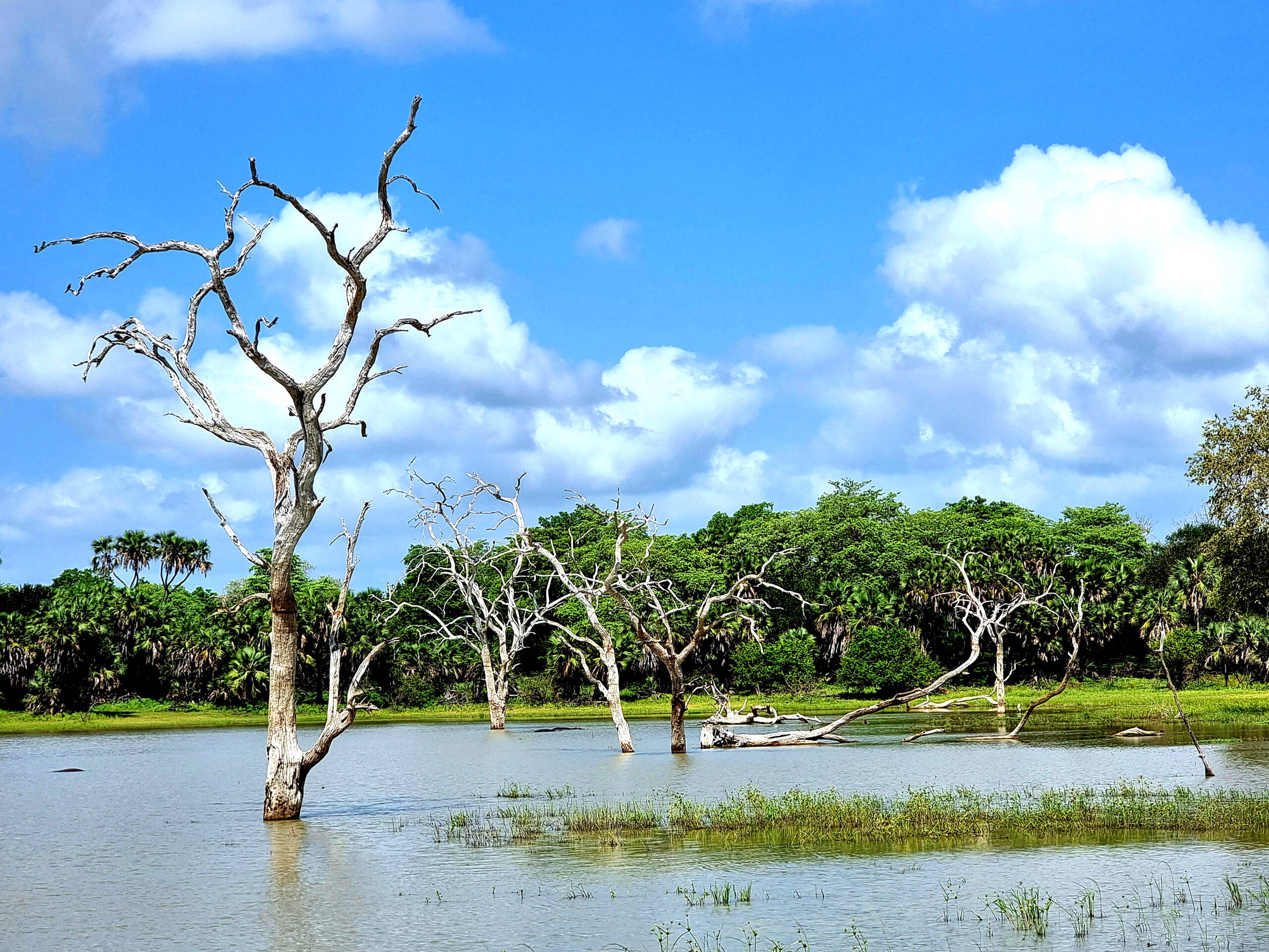 Jeepsafari entlang des Rufiji-Rivers