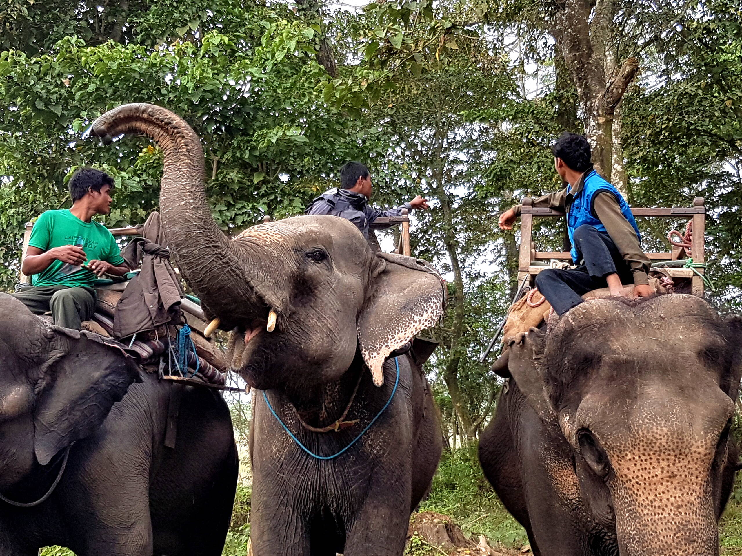 Nepal-Impressionen – FreitagTravel