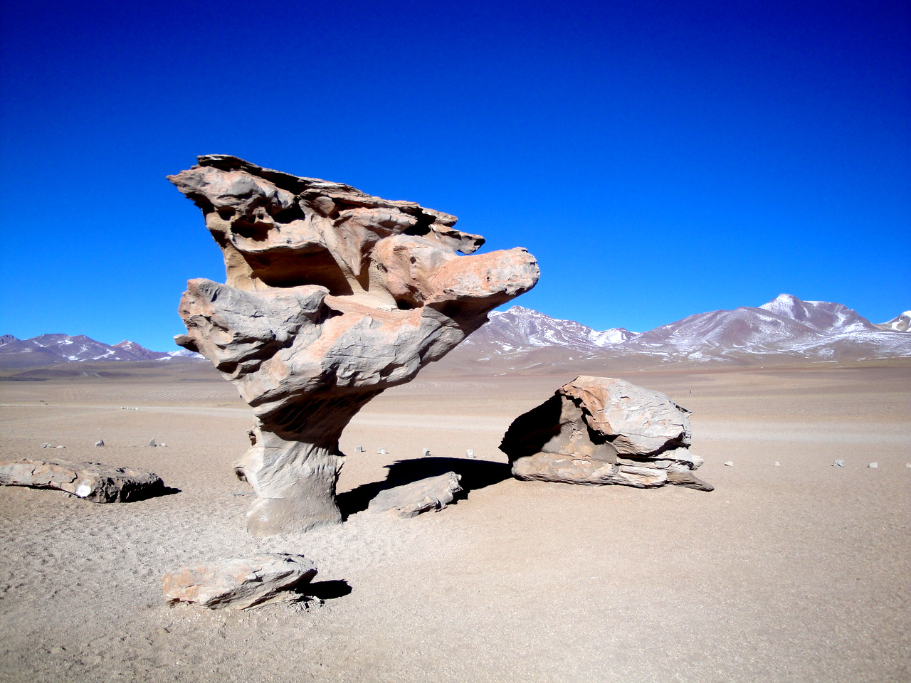 Bolivien, Arból de Piedra