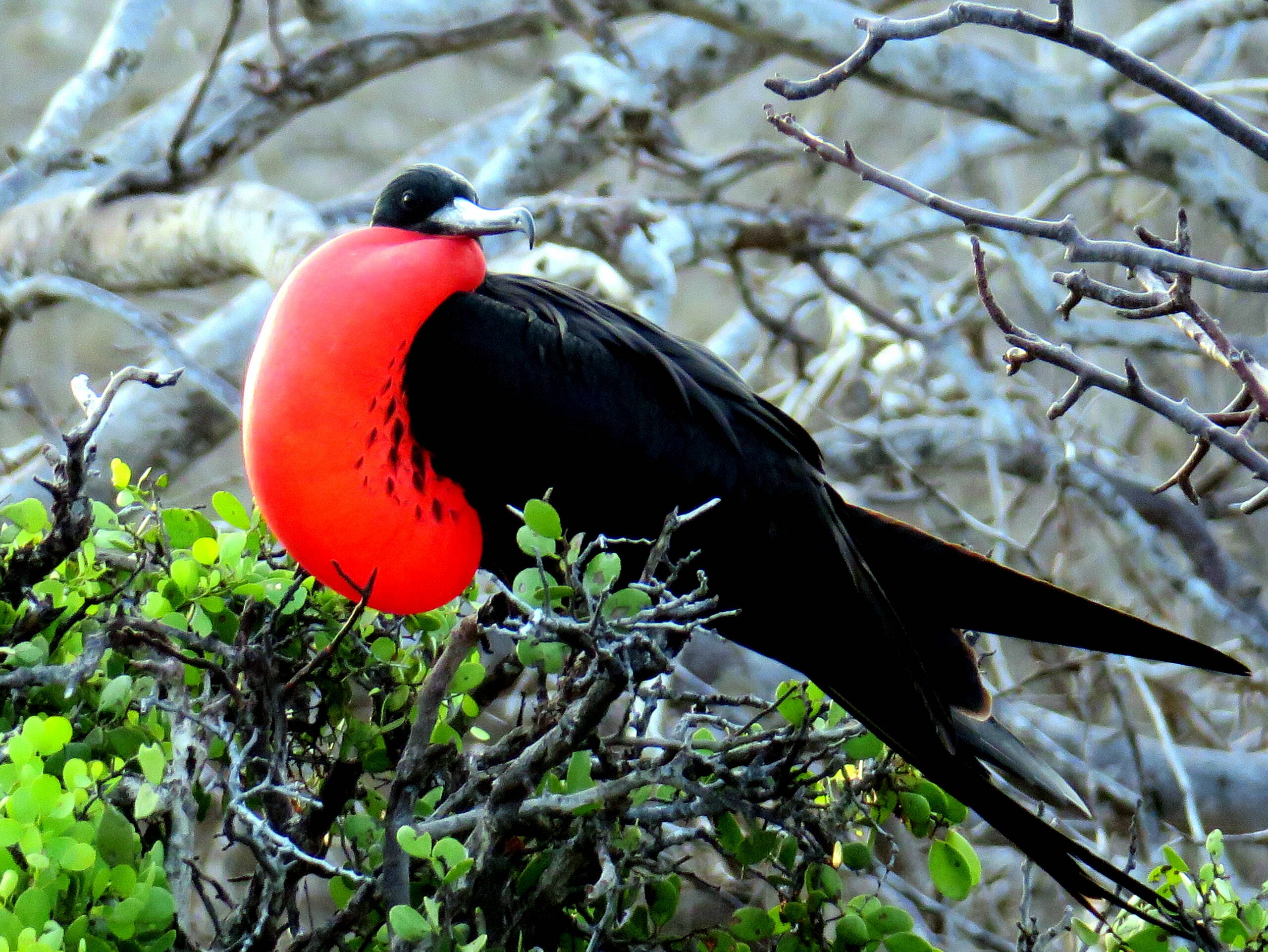 Impressionen Tiersafaris – FreitagTravel