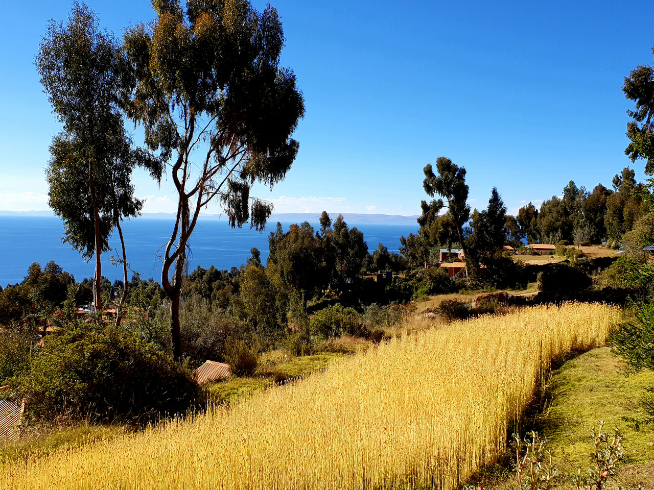 Insel Amantaní, Titicacasee