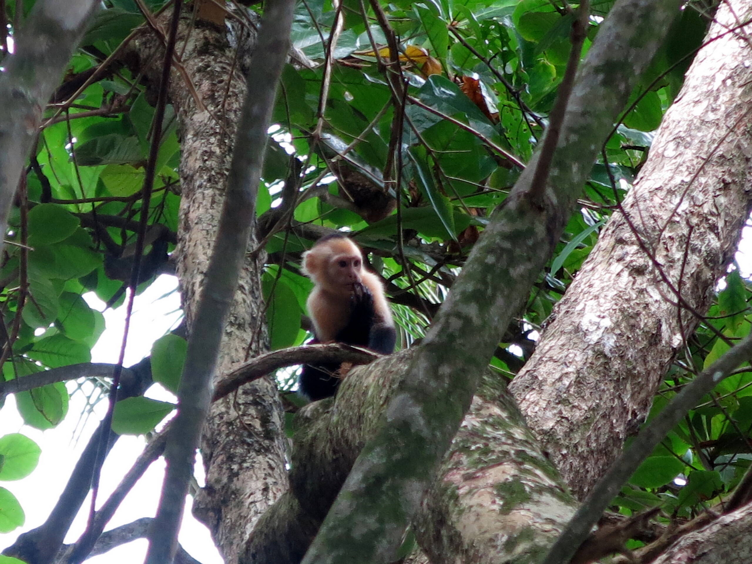 Impressionen Tiersafaris – FreitagTravel