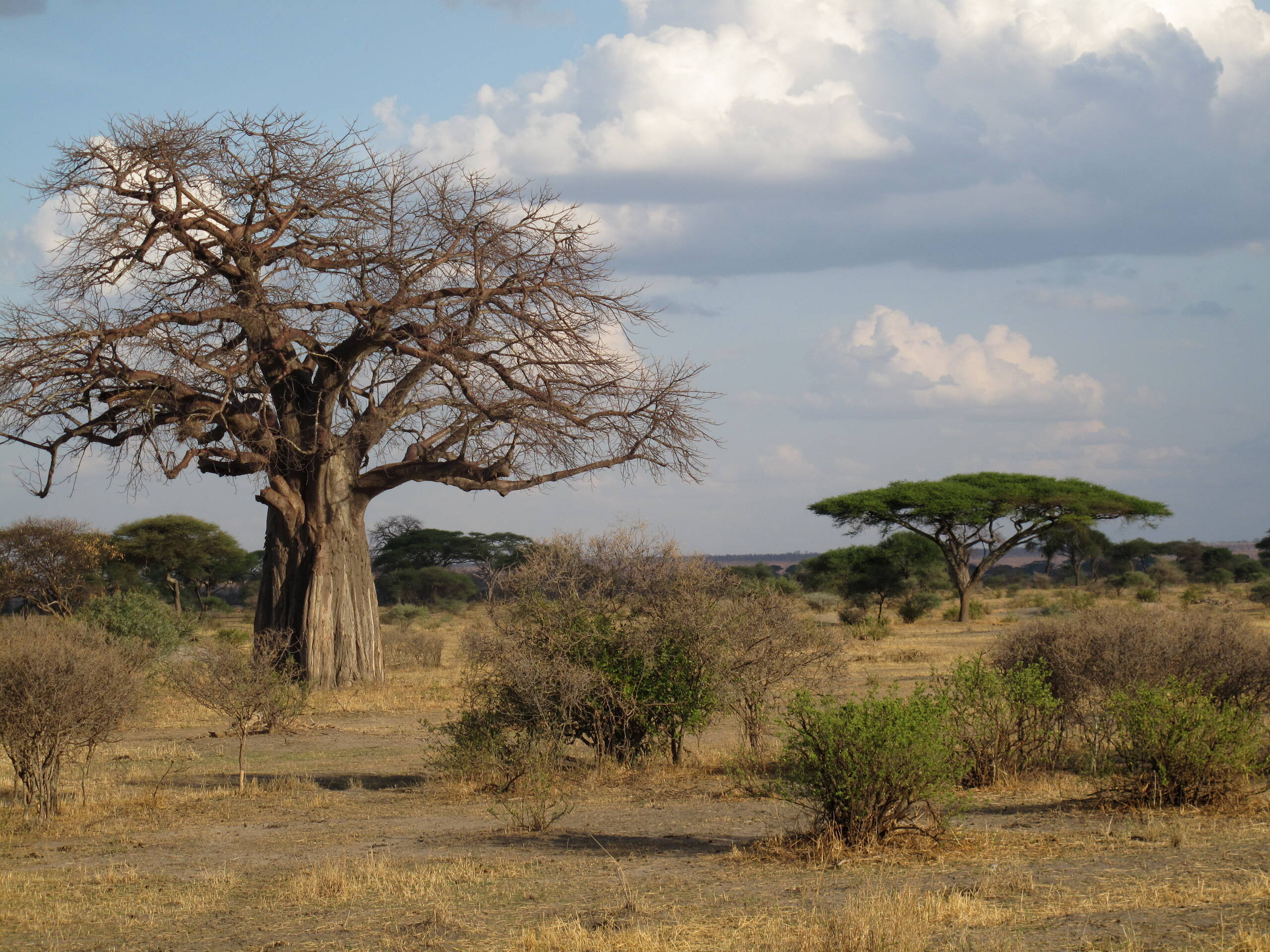 Tansania-Impressionen – FreitagTravel