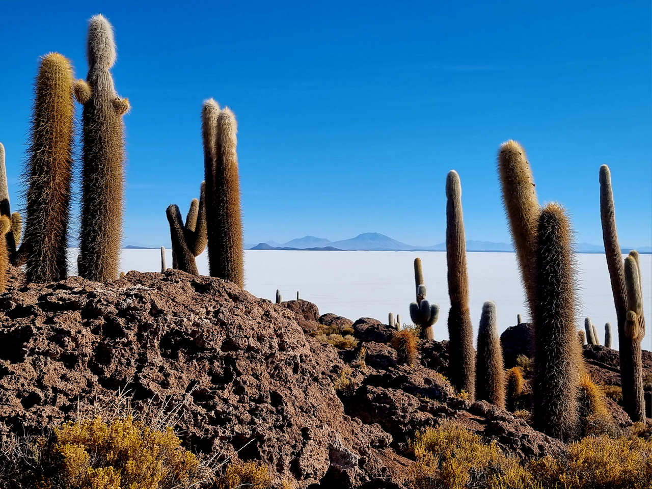 Wandern Insel Incahuasi, Salar de Uyuni - Bolivien Wandern Insel Incahuasi, Salar de Uyuni - Bolivien