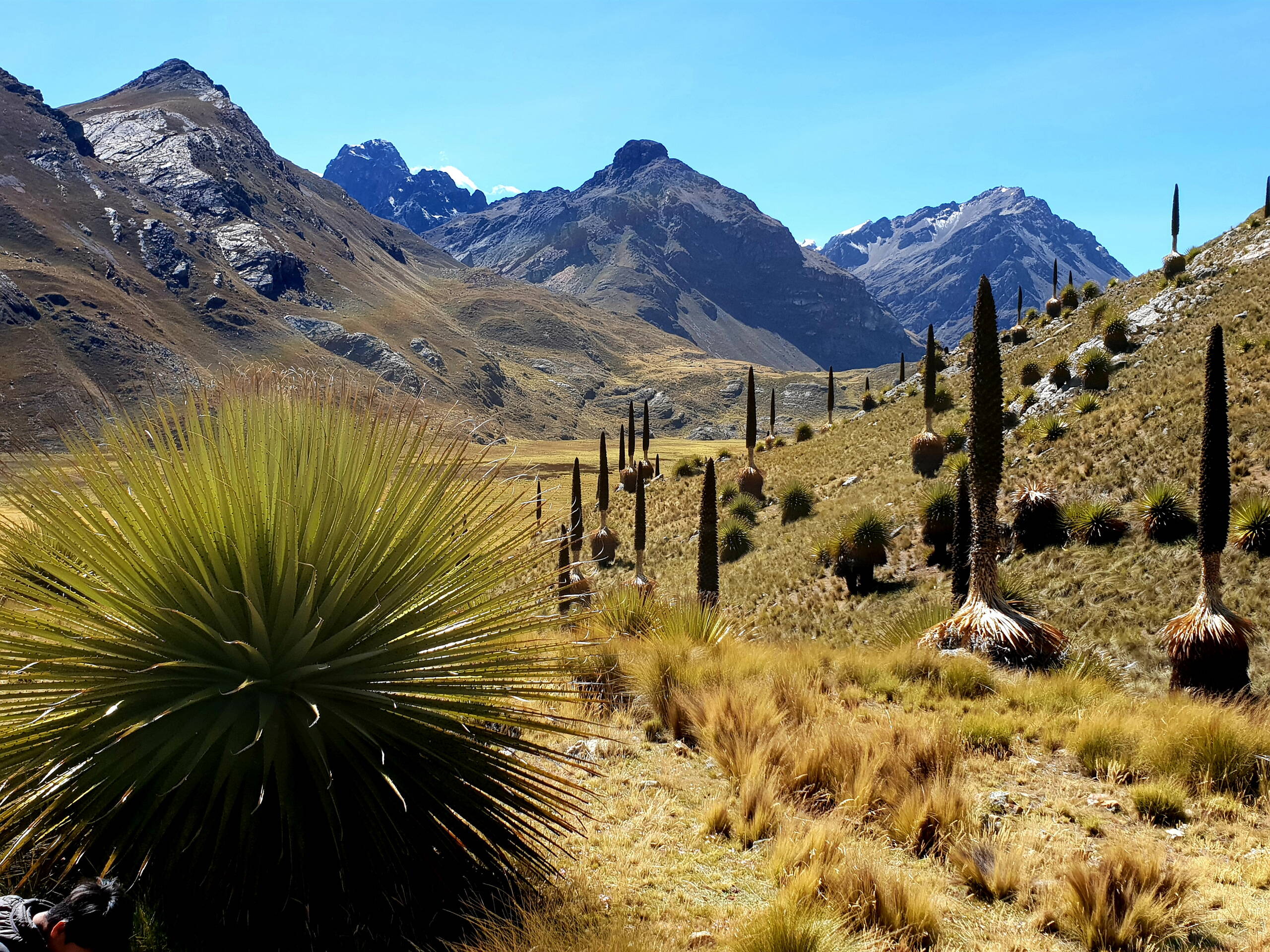 Bolivien-Impressionen – FreitagTravel