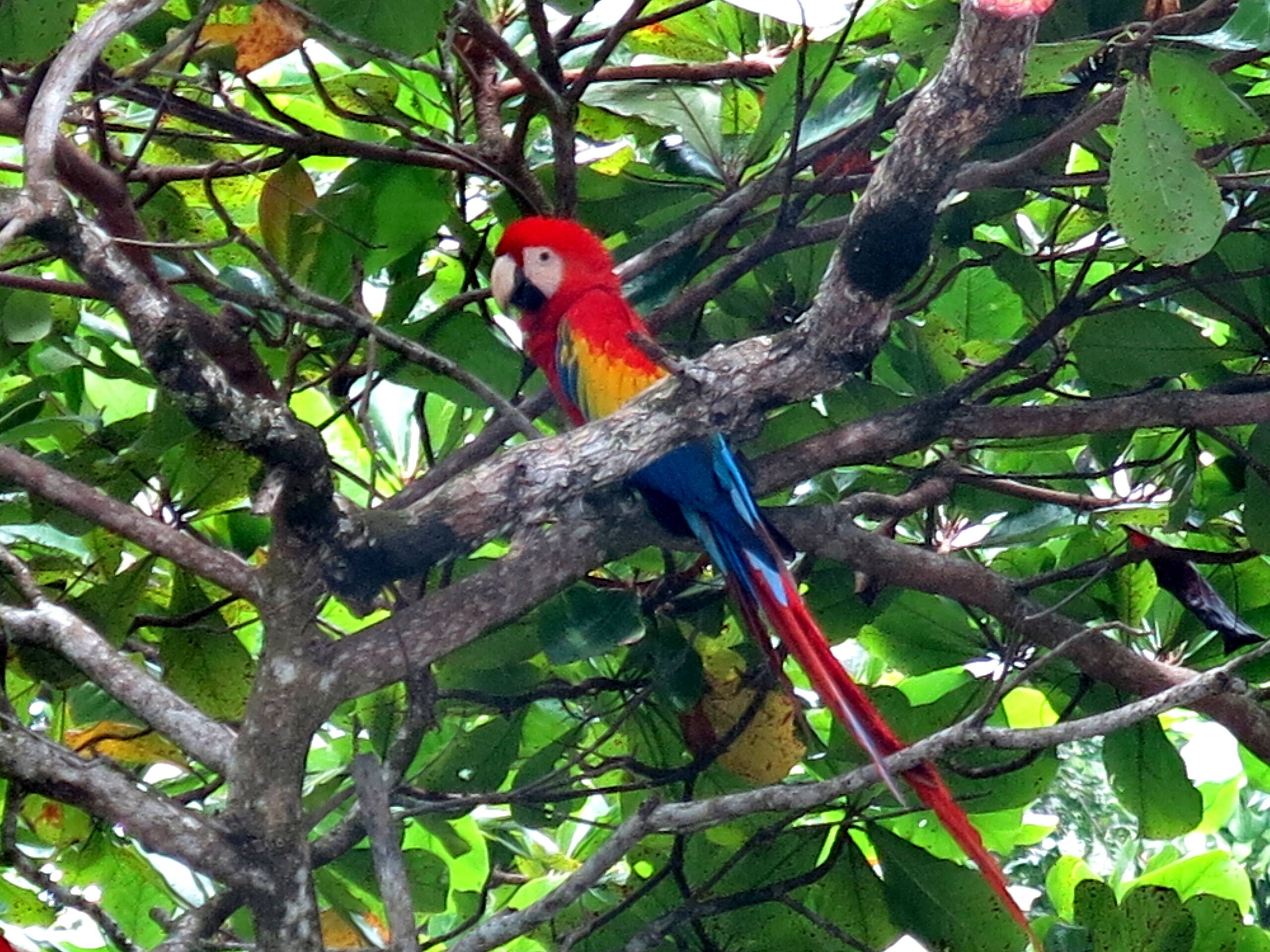 Impressionen Tiersafaris – FreitagTravel