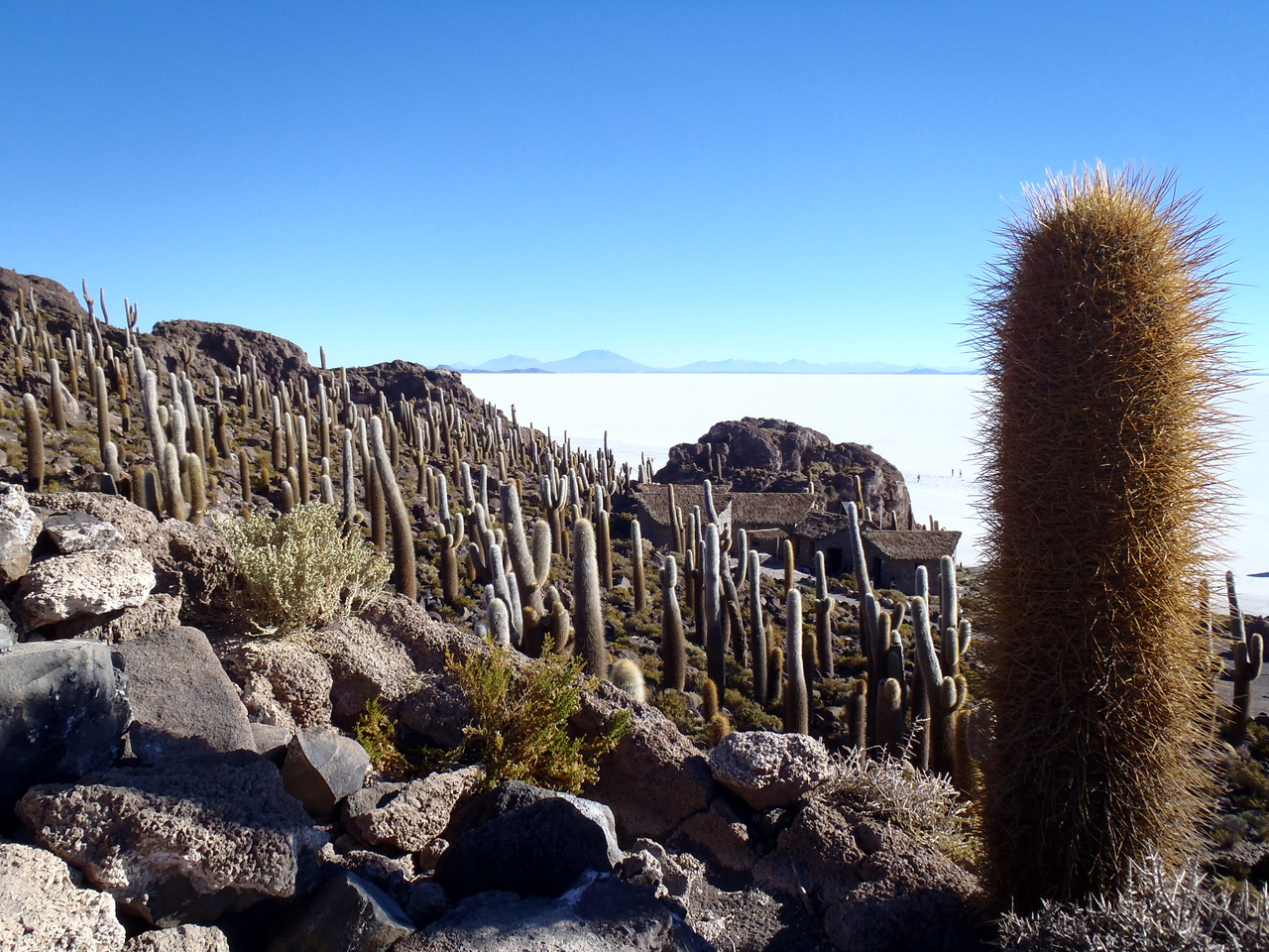 Insel Incahuasi, Salar de Uyuni