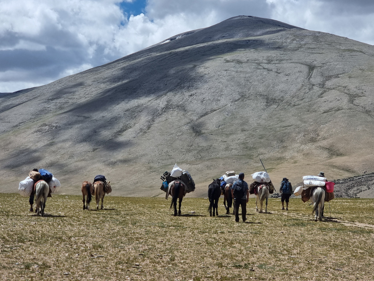 unsere Begleitmannschaft mit acht Pferden, Ladakh