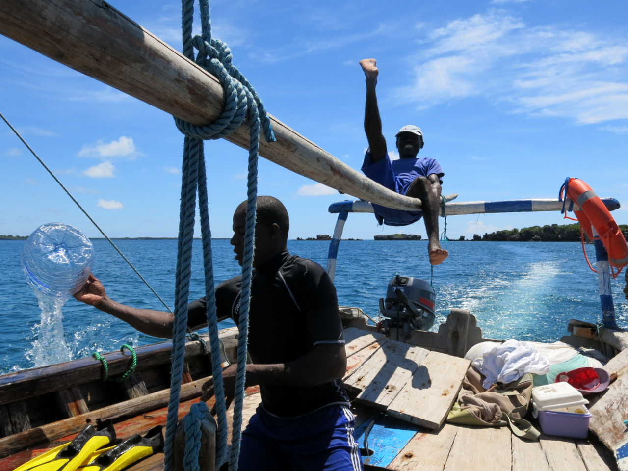 Walhai-Exkursion auf Mafia Island