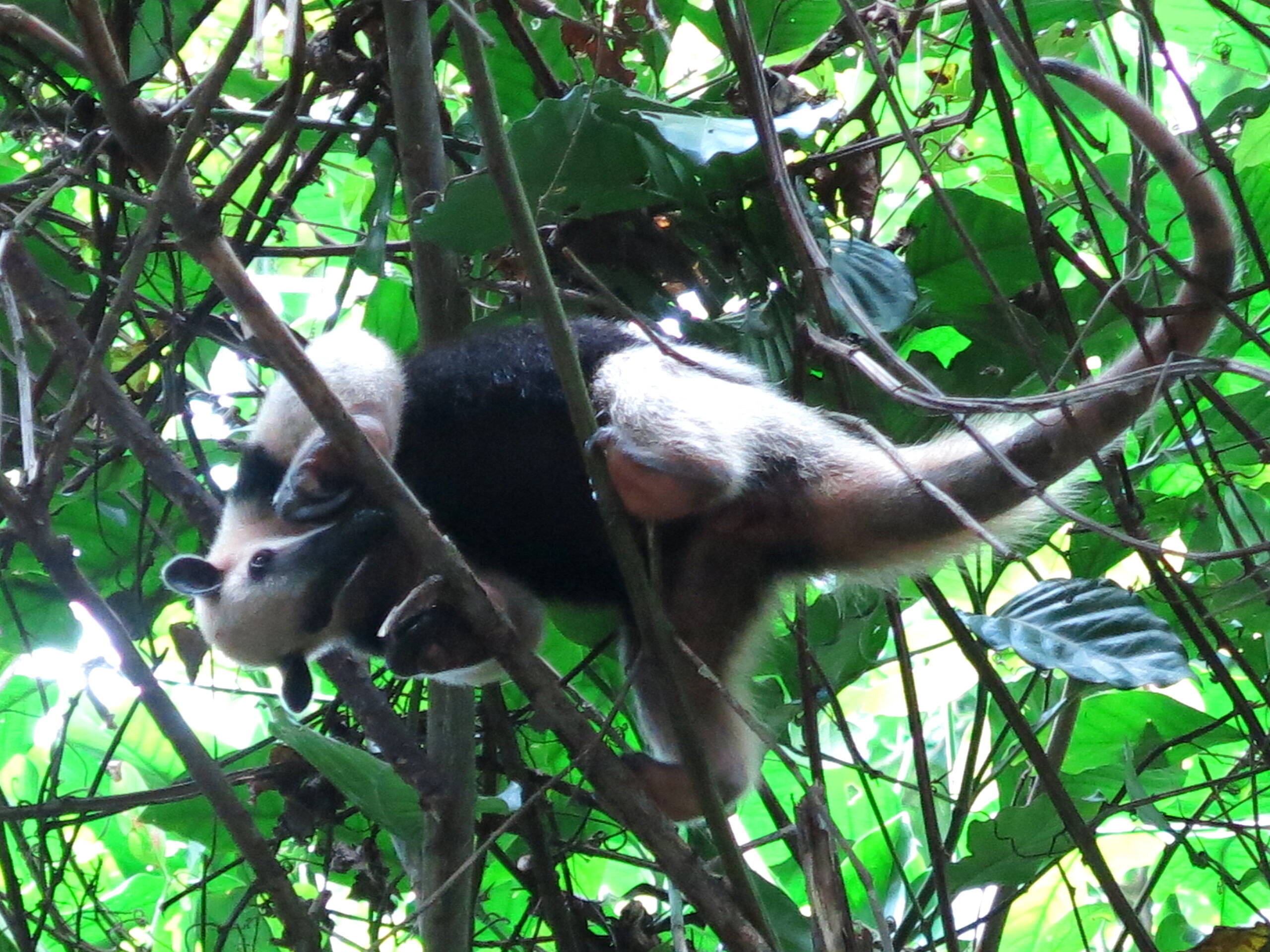 Impressionen Tiersafaris – FreitagTravel