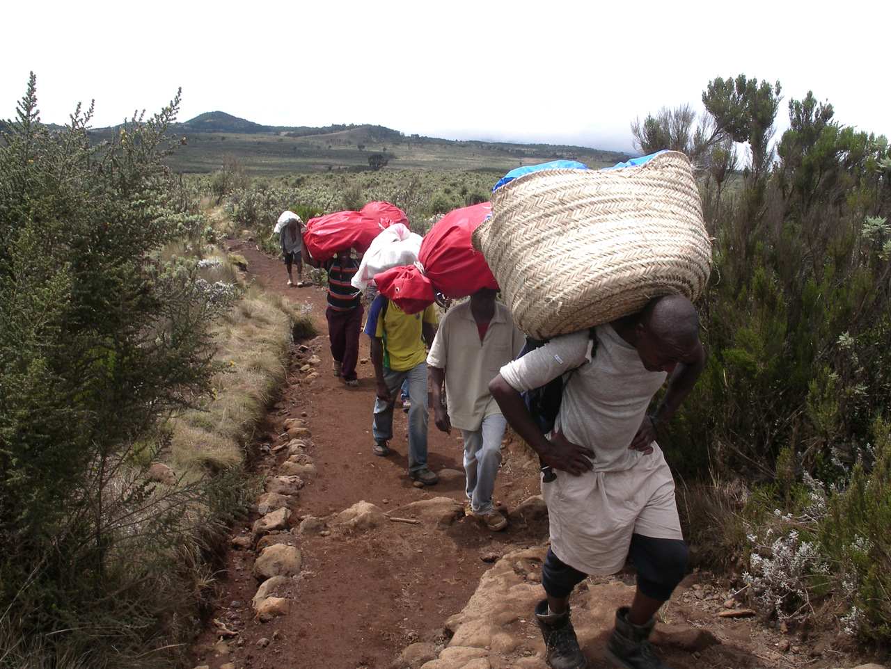 Träger auf dem Weg zur Horombo-Hütte Träger auf dem Weg zur Horombo-Hütte
