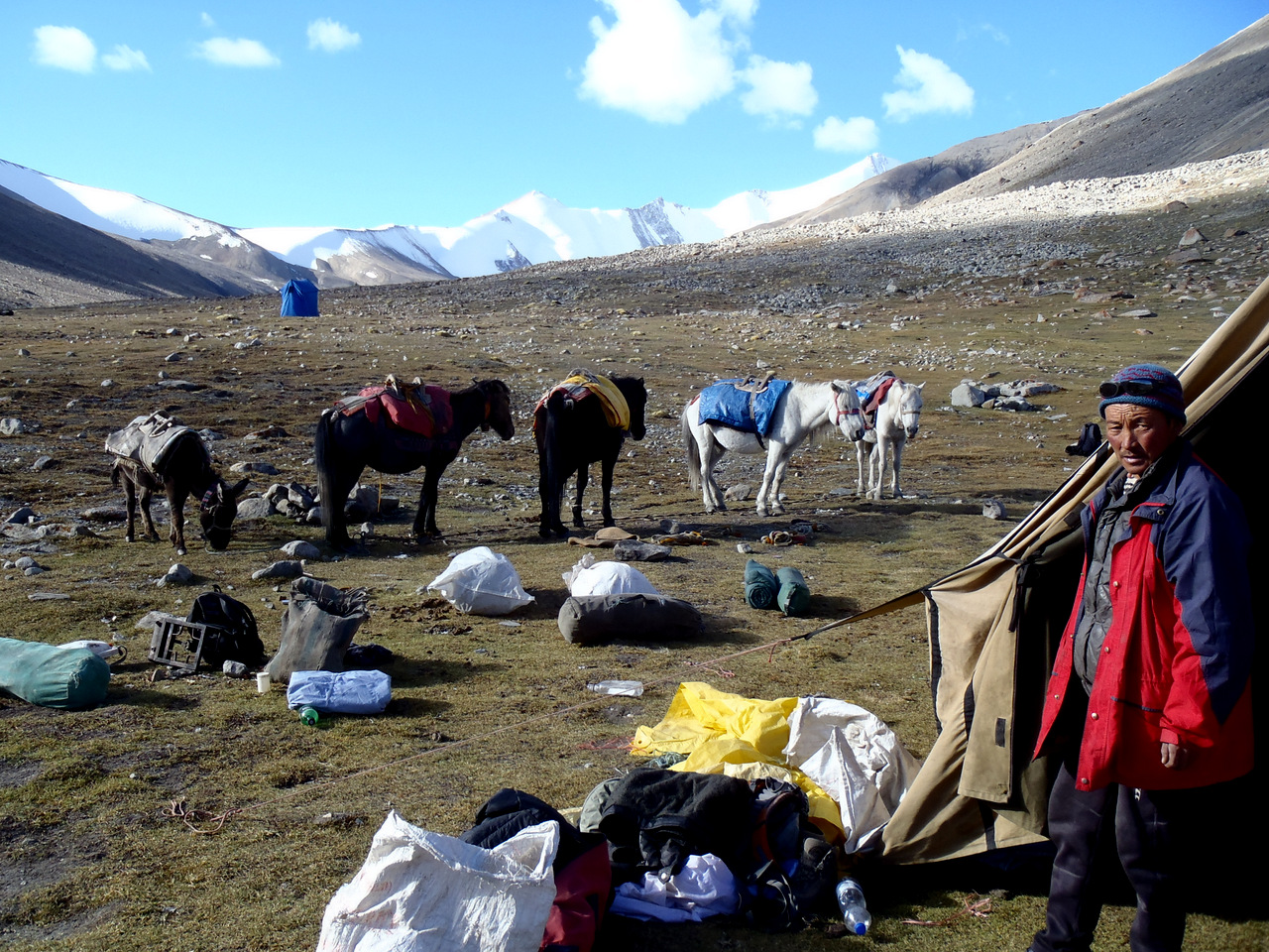 auf der Nimaling-Hochebene (4700 m)