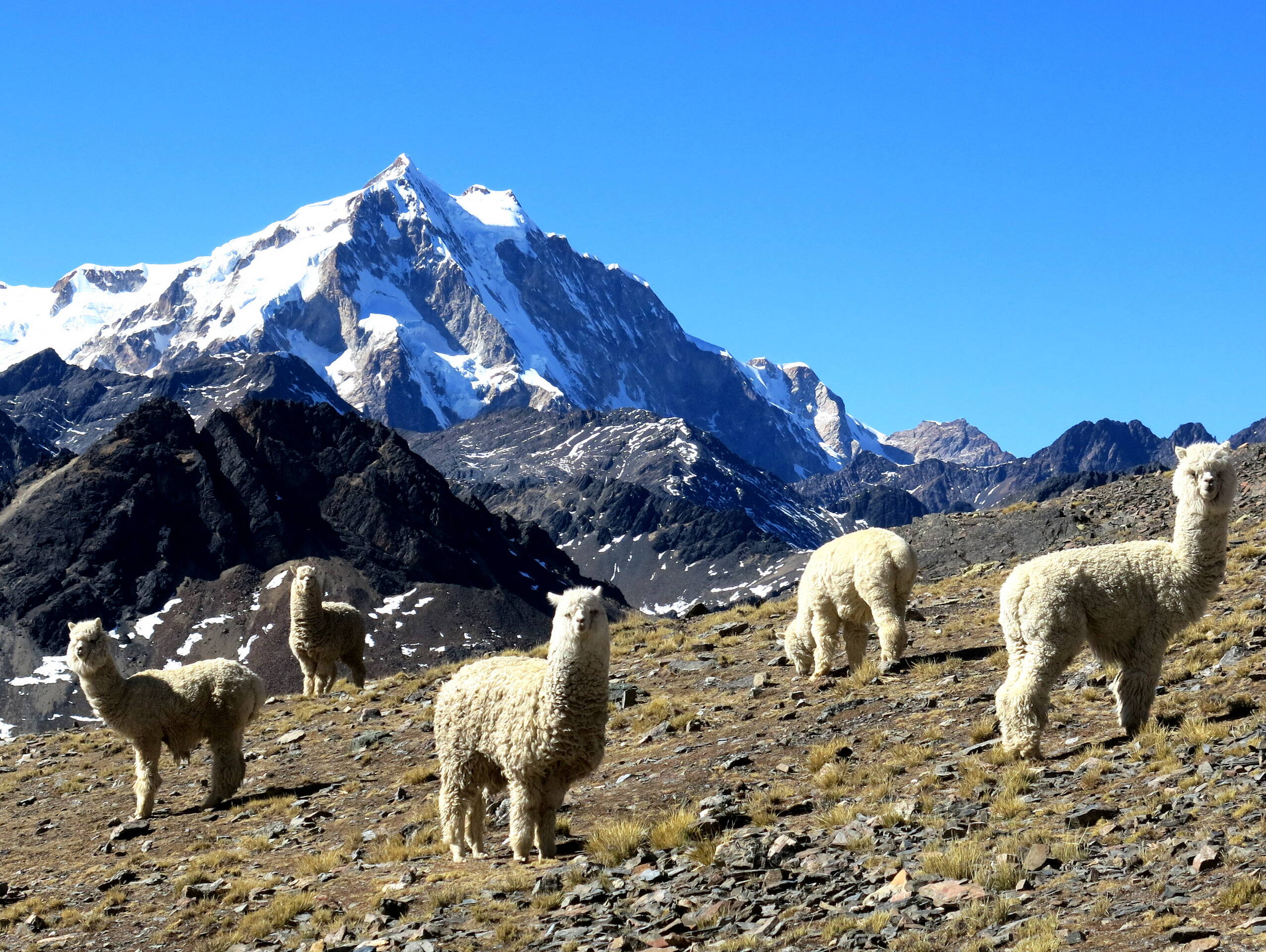 Bolivien-Impressionen – FreitagTravel