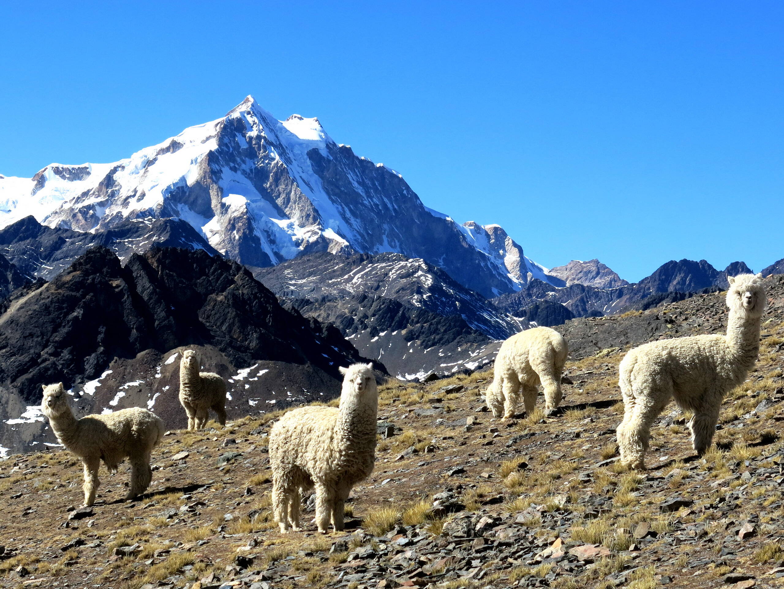 Bolivien-Impressionen – FreitagTravel