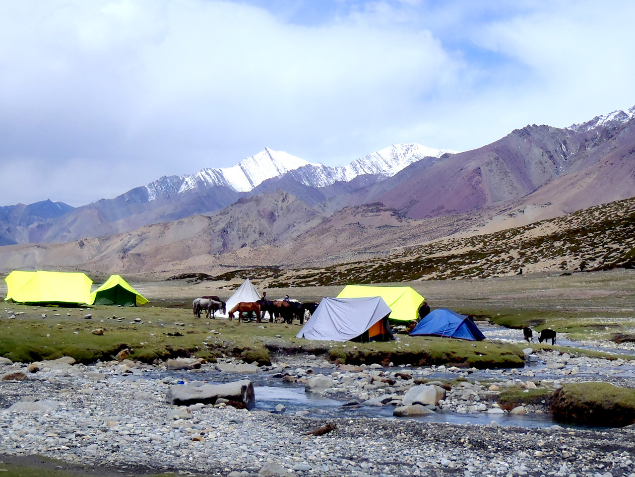 Nimaling Hochebene, Markha Valley - Ladakh