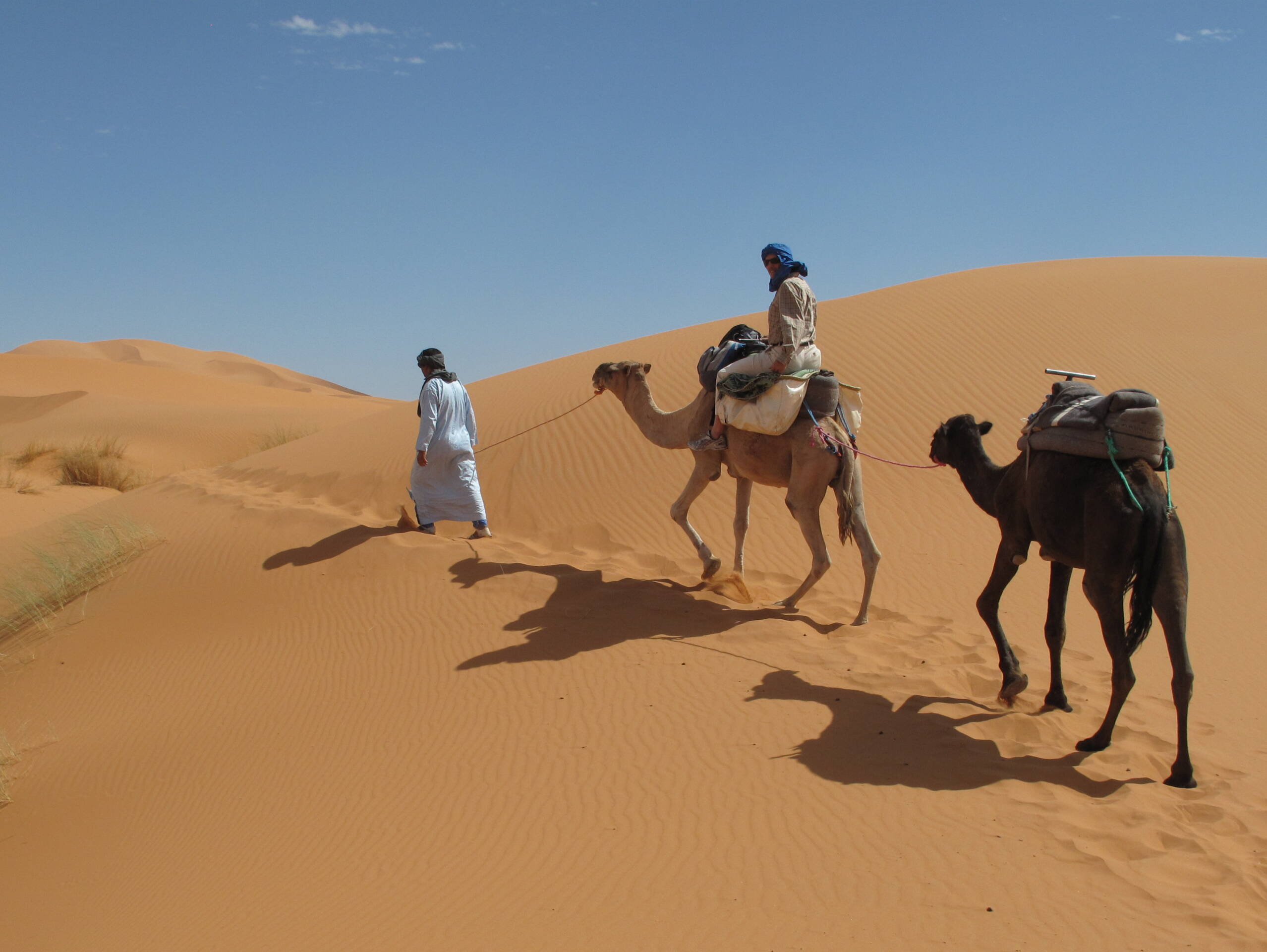 Tansania-Impressionen – FreitagTravel