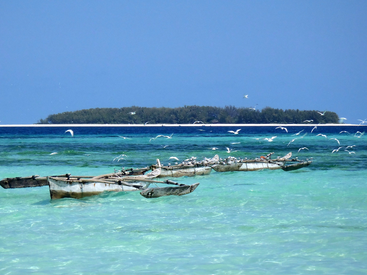 Mnemba Atoll, Sansibar