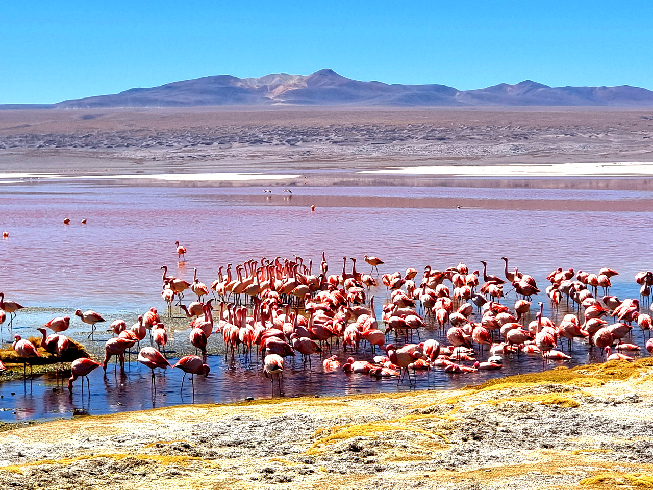 Laguna Colorada, Gran Sur Oeste