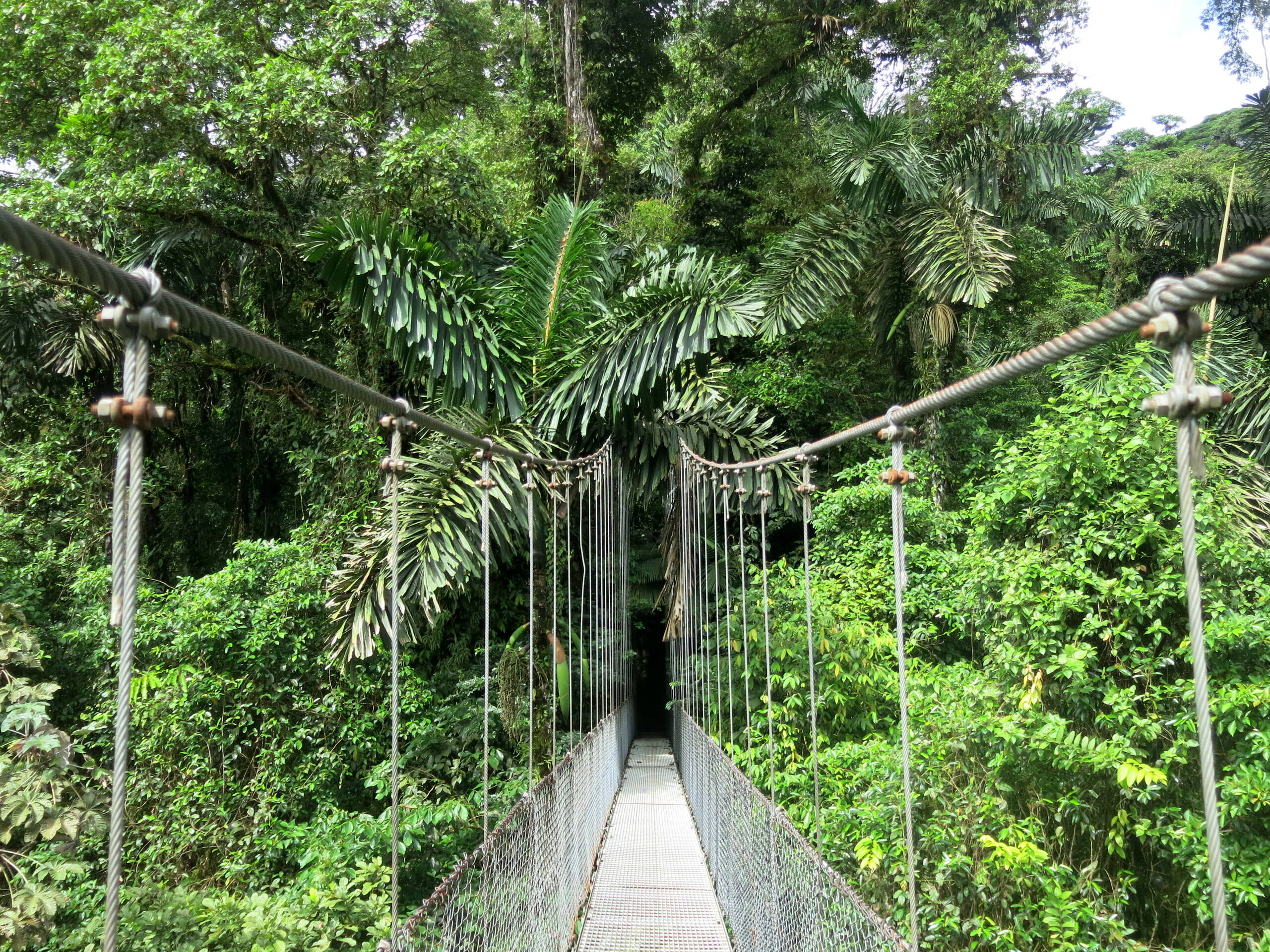 Costa Rica-Impressionen – FreitagTravel