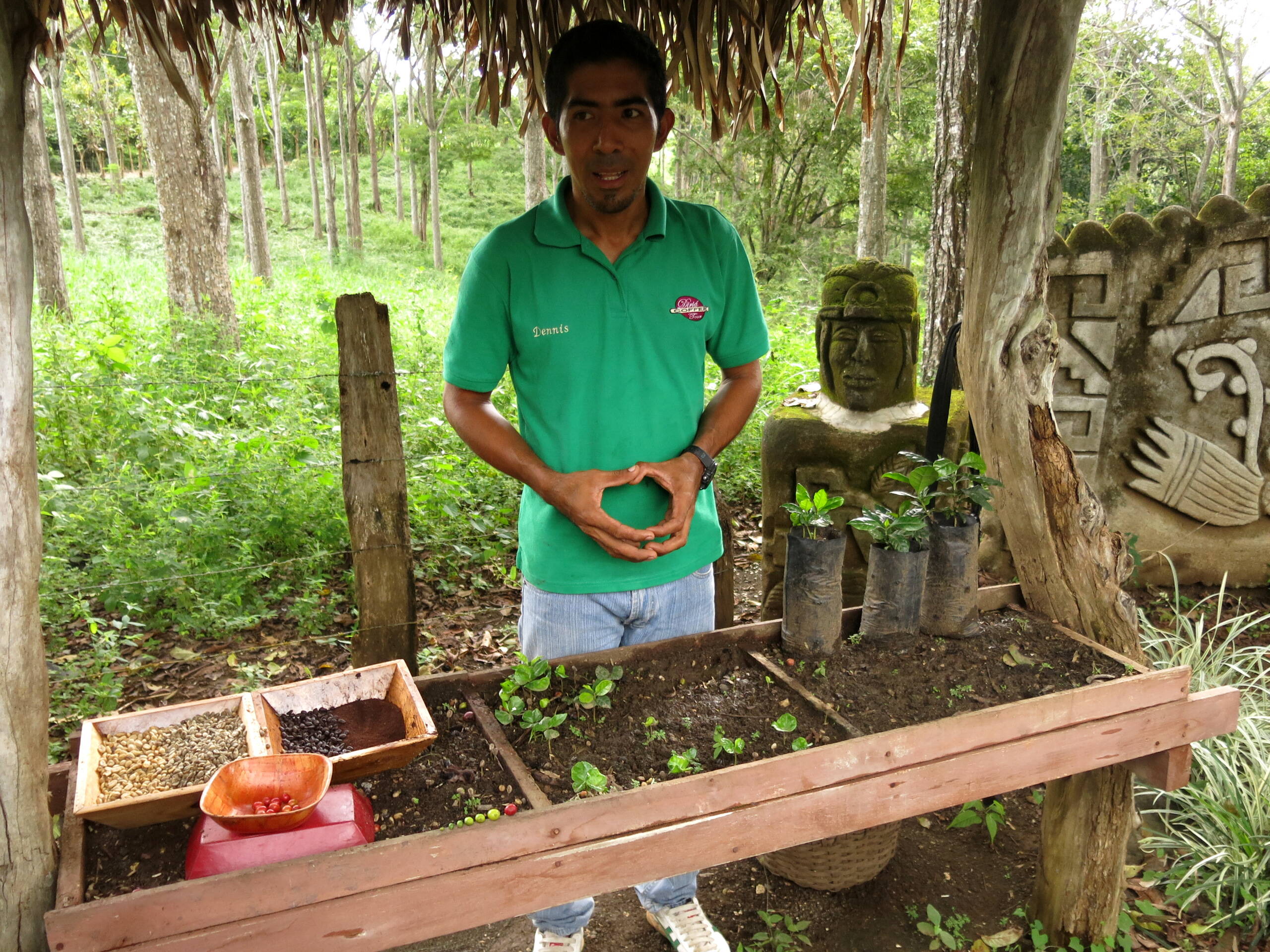 Costa Rica-Impressionen – FreitagTravel