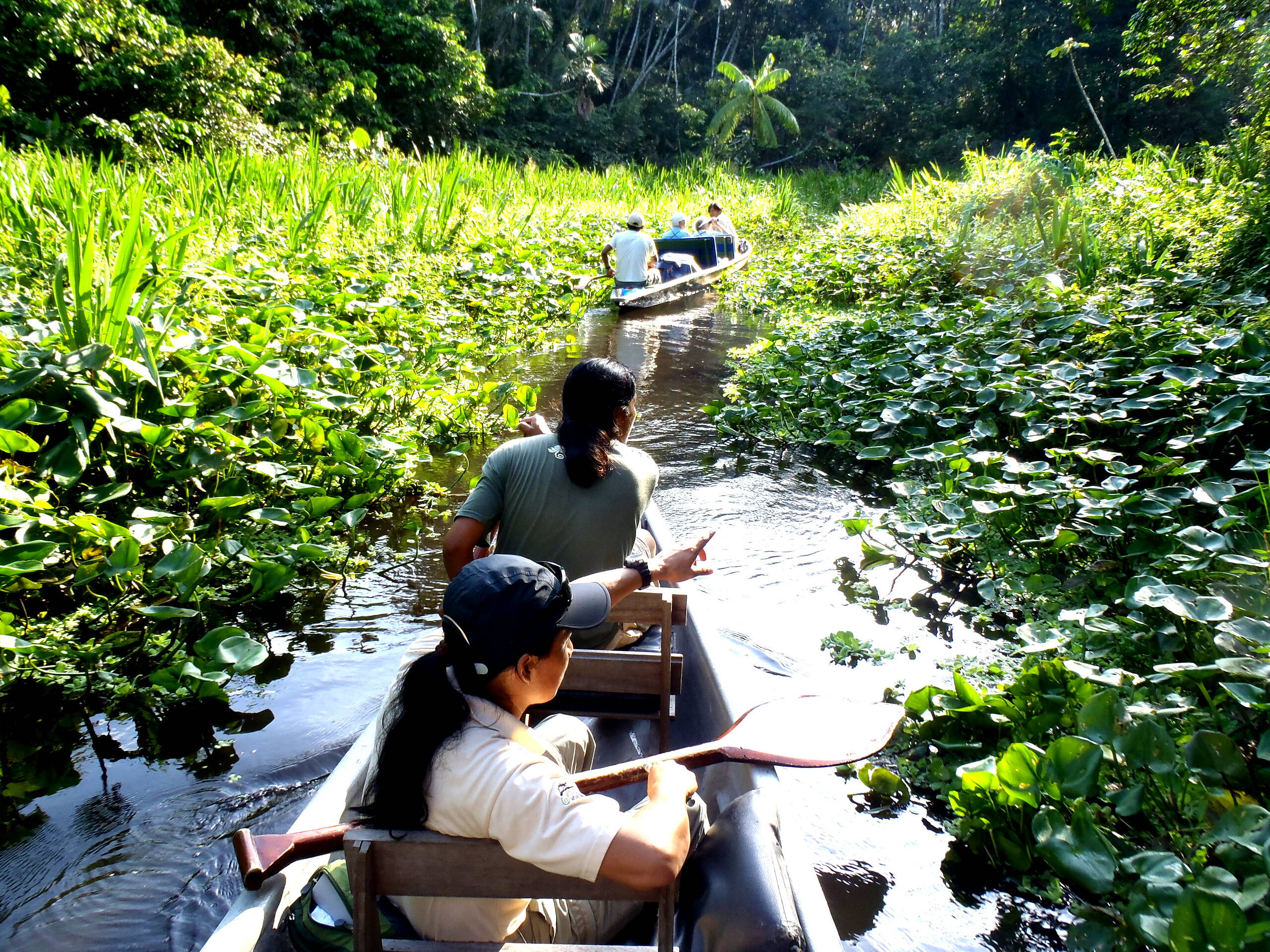 Impressionen Tiersafaris – FreitagTravel