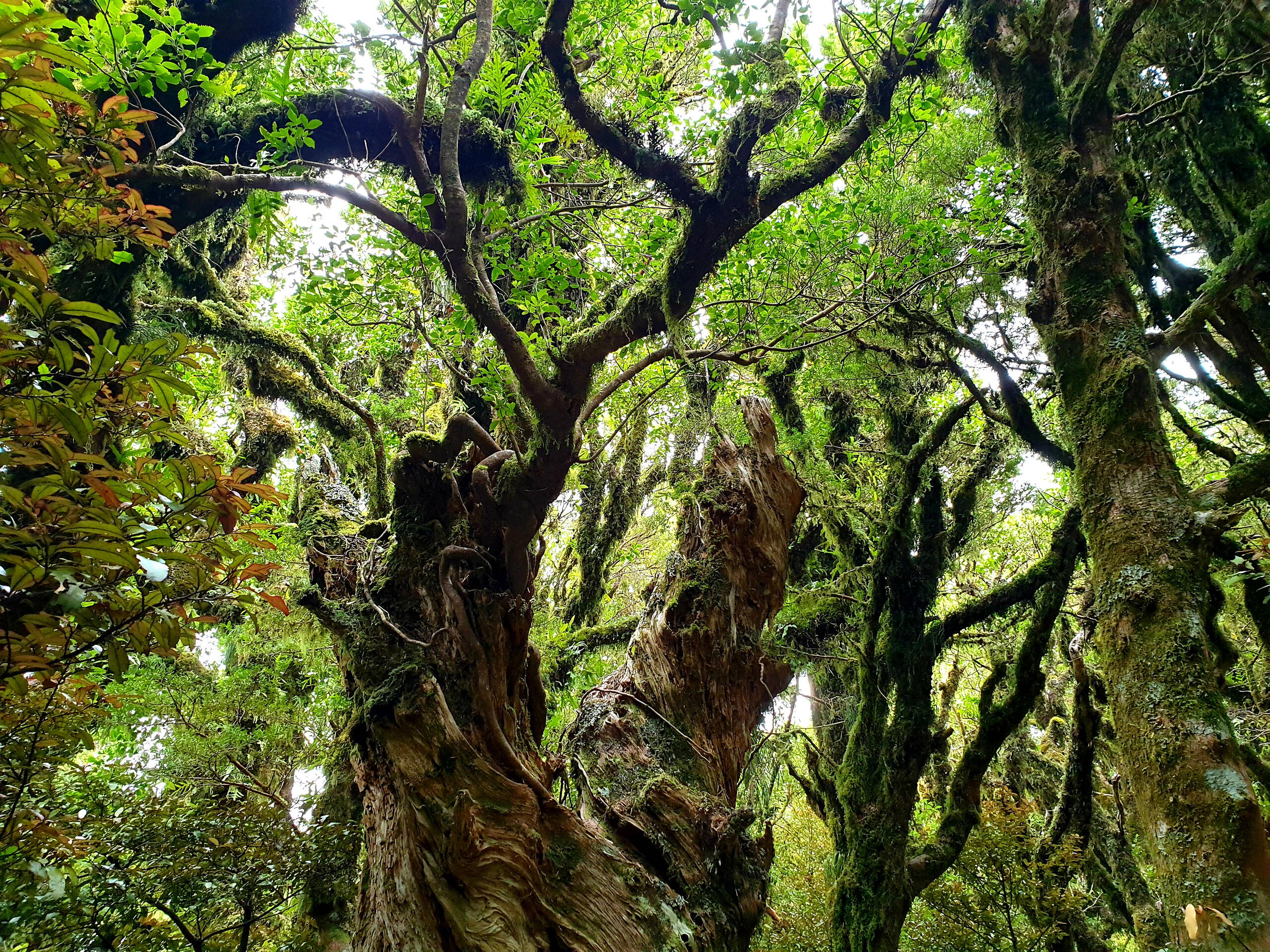 Bolivien-Impressionen – FreitagTravel