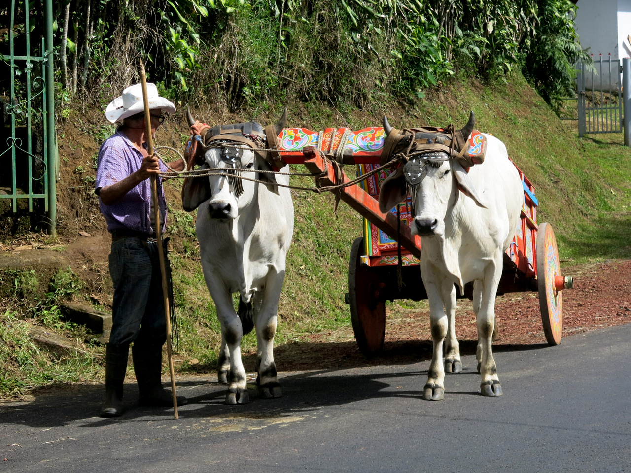 22c-IMG_7810_1.JPG 22c-IMG_7810_1