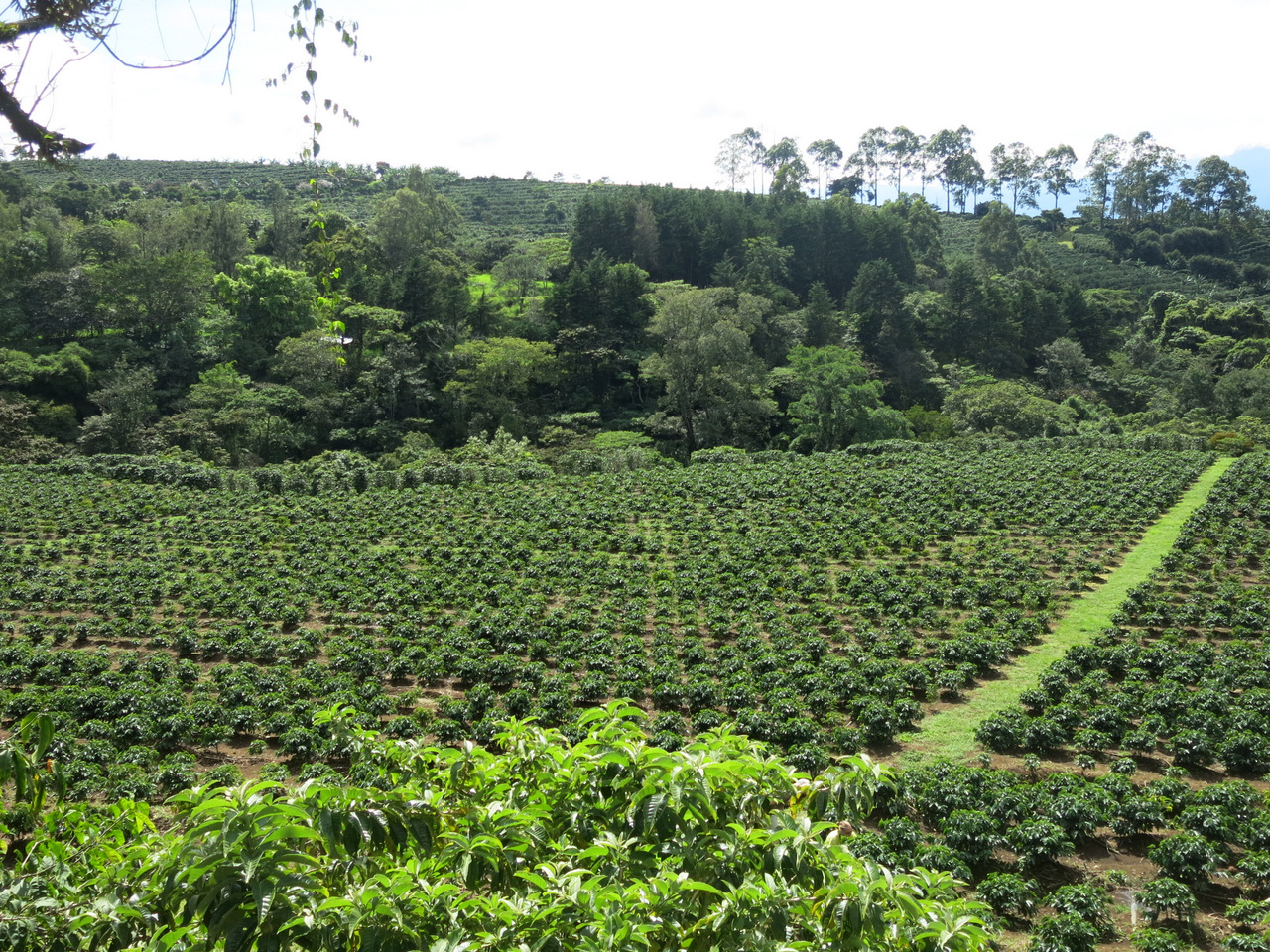 32b-IMG_7814.JPG 32b-IMG_7814