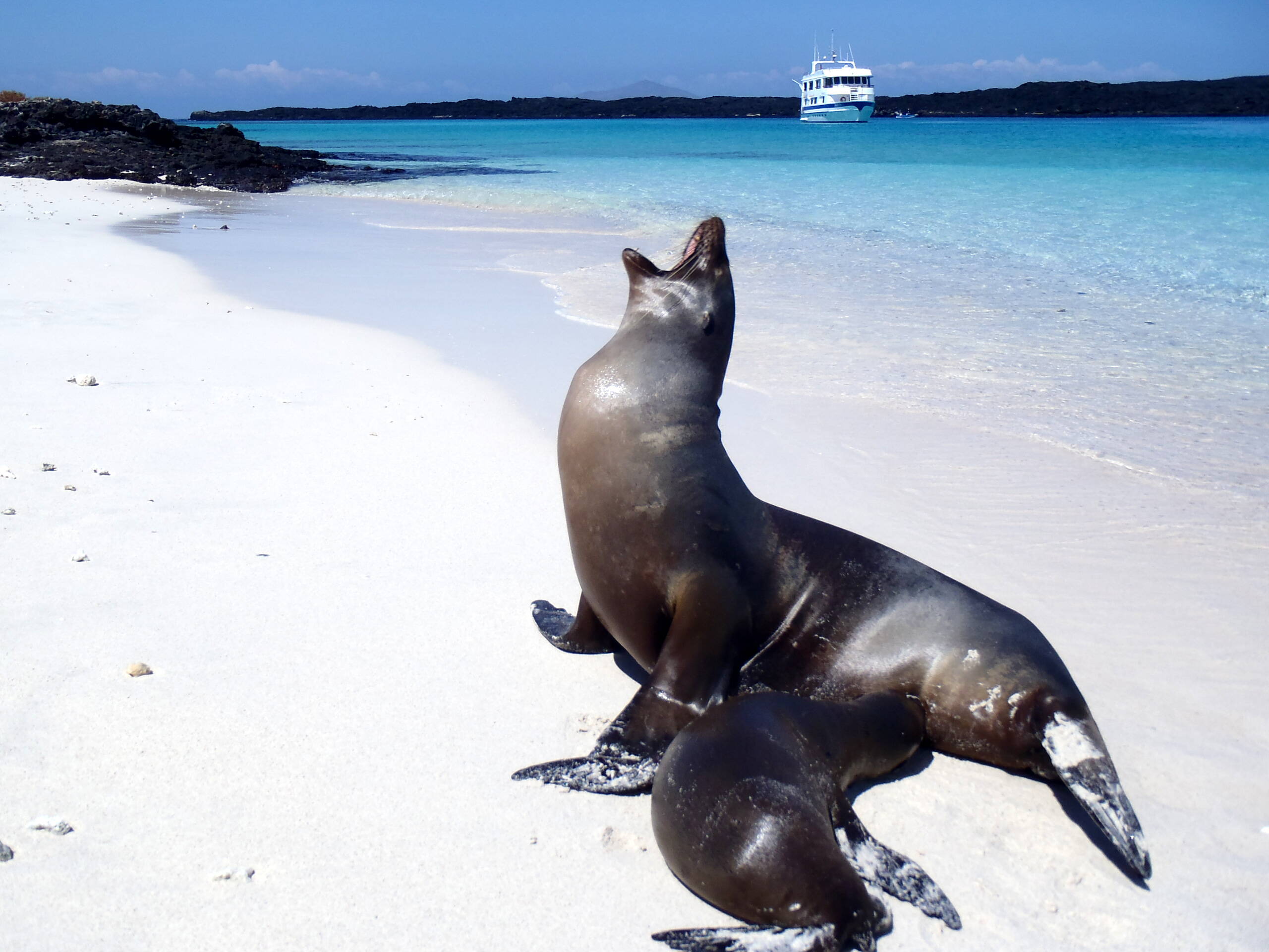 Impressionen Tiersafaris – FreitagTravel